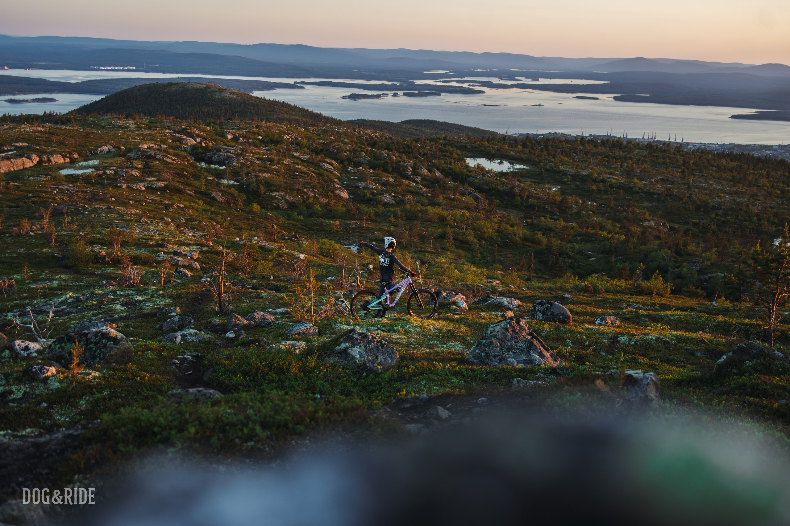 Кандалакшка. Фотограф анималист Никита Натальный