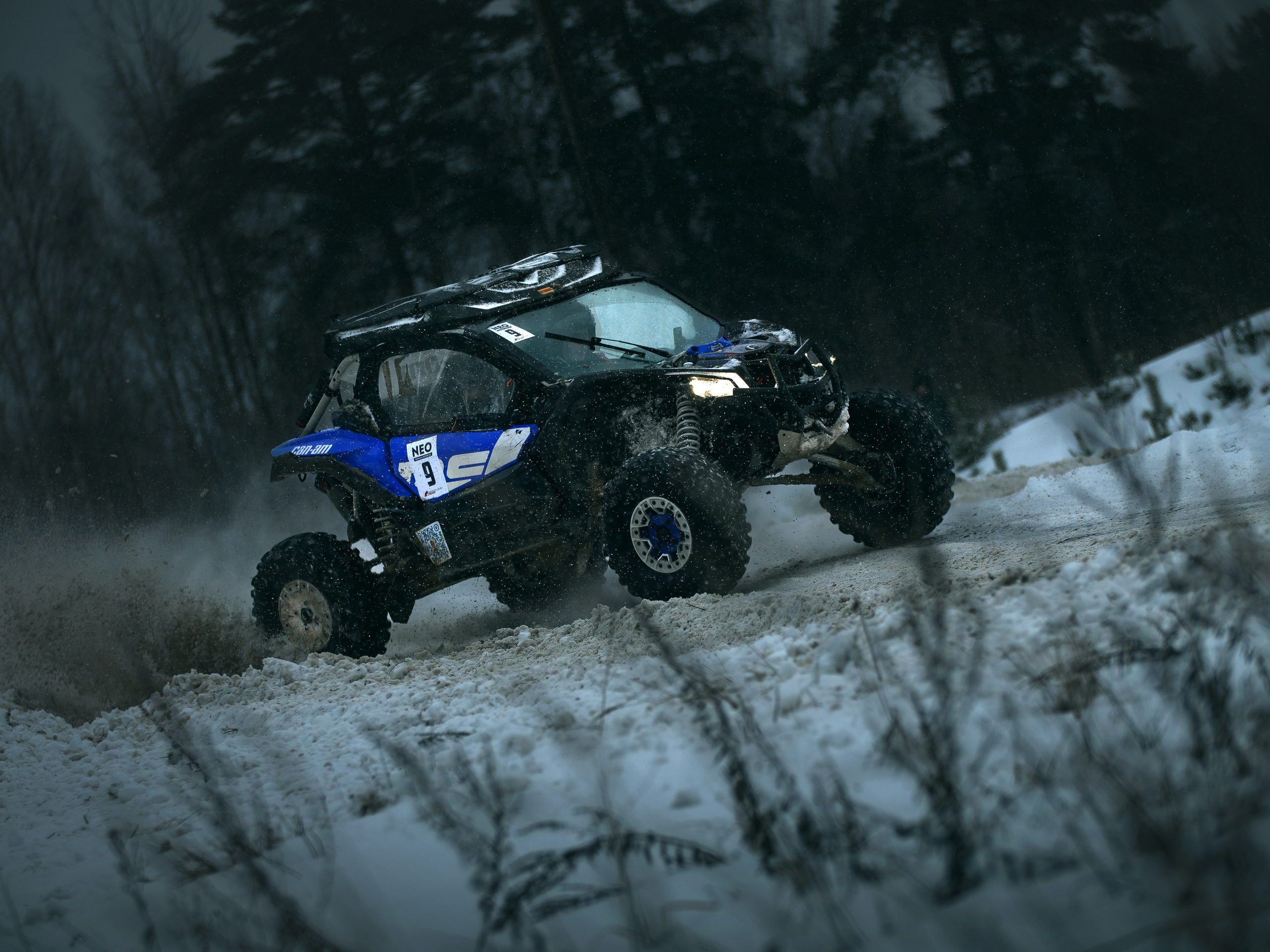 Ралли NEO Oil. Фотограф анималист Никита Натальный