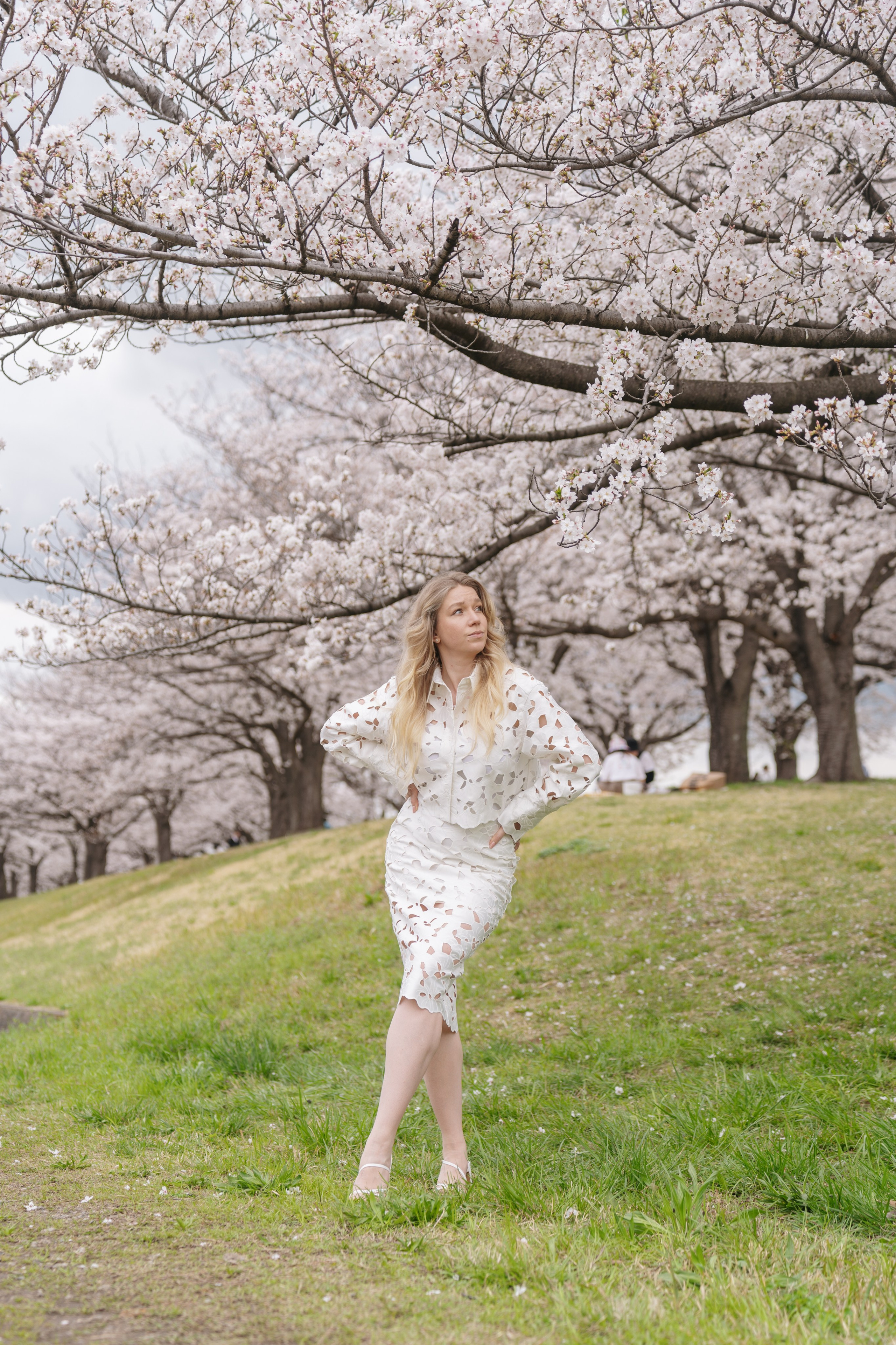 Sakura. Фотограф Алина Диева Москва | Токио