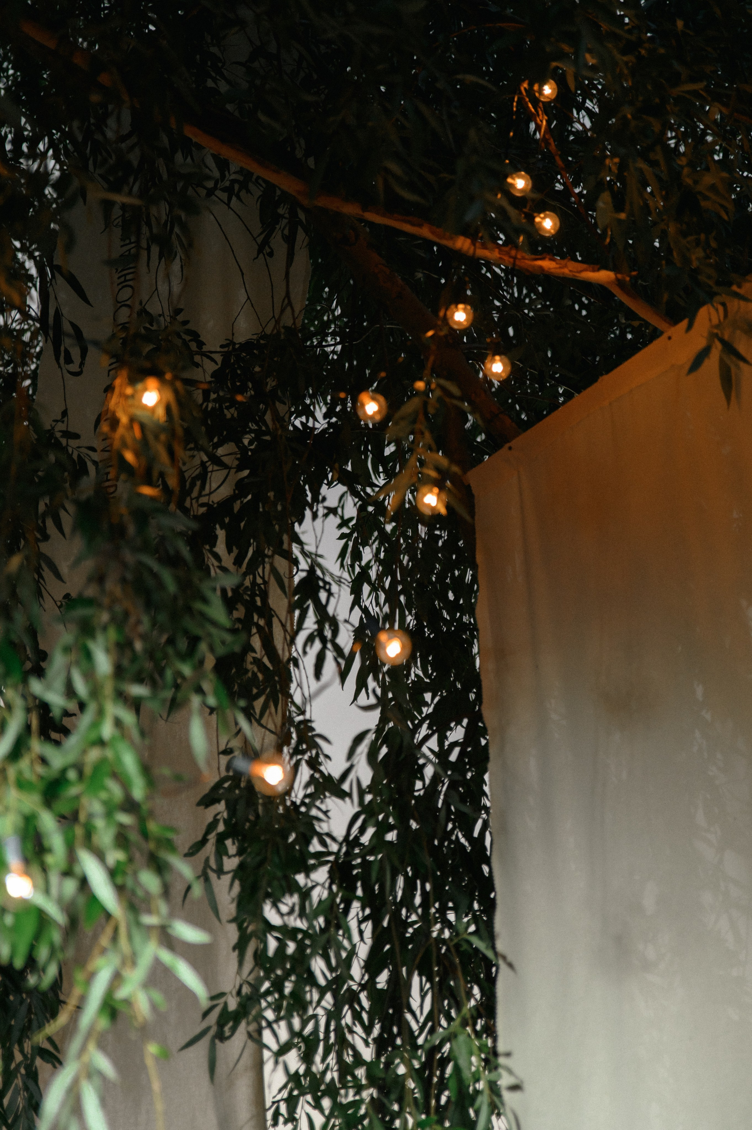 Максим и Лена. Свадебный фотограф Евгения Наумовец