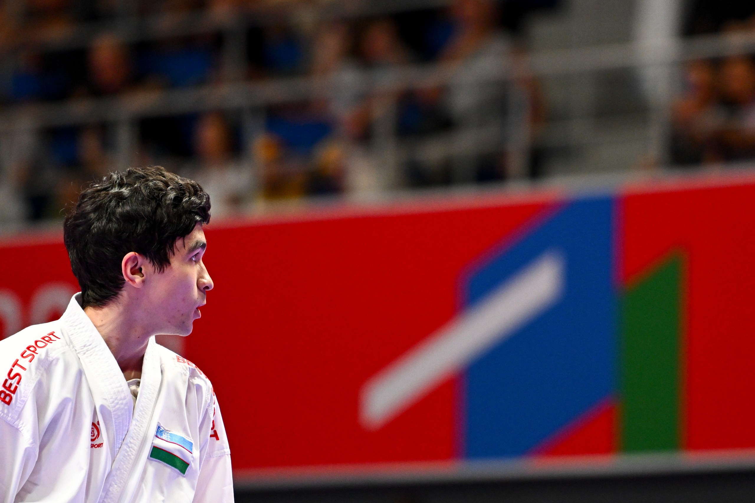 Каратэ «Спортивные игры стран БРИКС». Спортивный и репортажный фотограф в Казани Вячеслав Сатонин