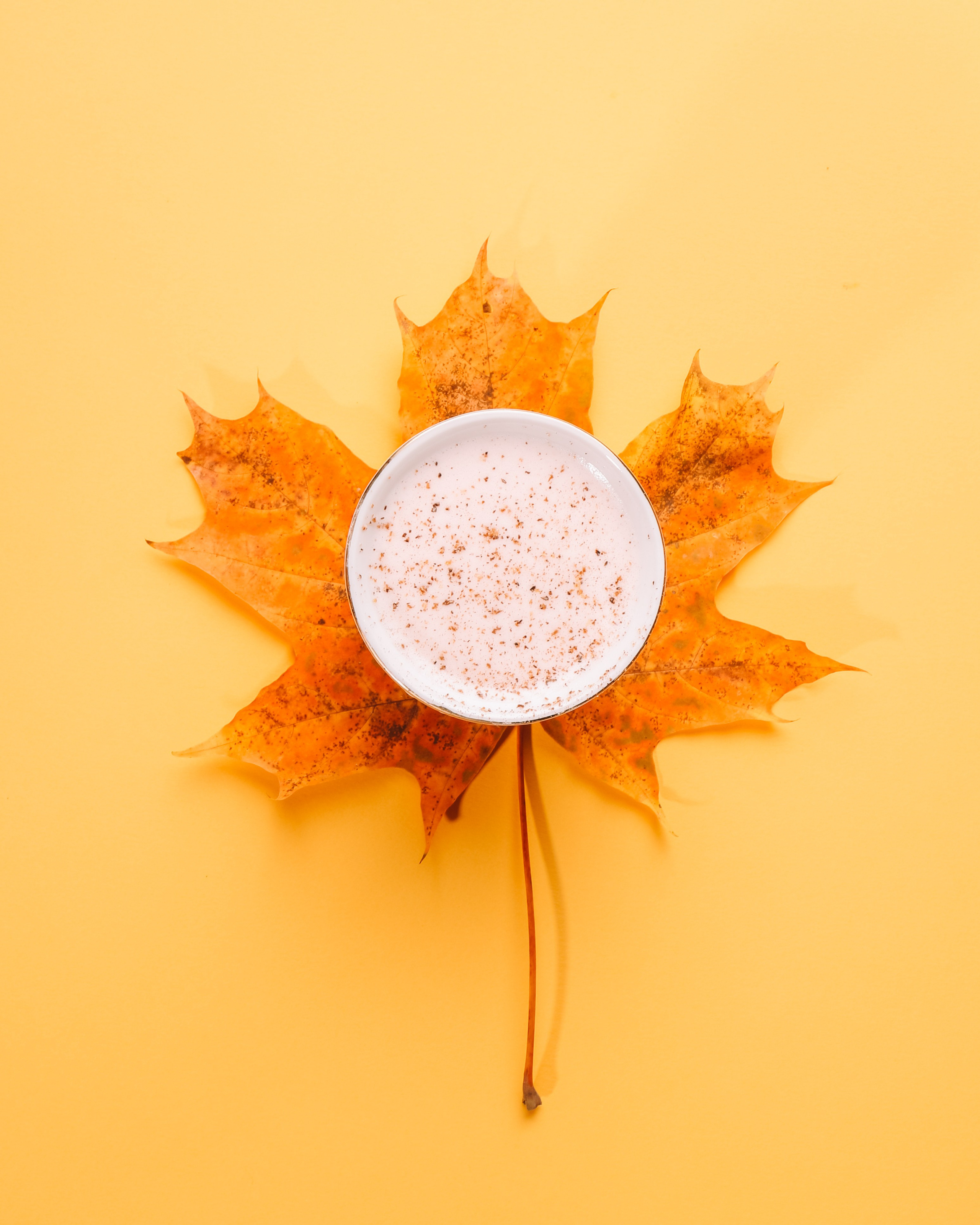 «У вас горизонст завален» 2021–2022 гг или с чего всё начиналось. Контент-фотограф Калининград АНАСТАСИЯ ТКАЧЕВА