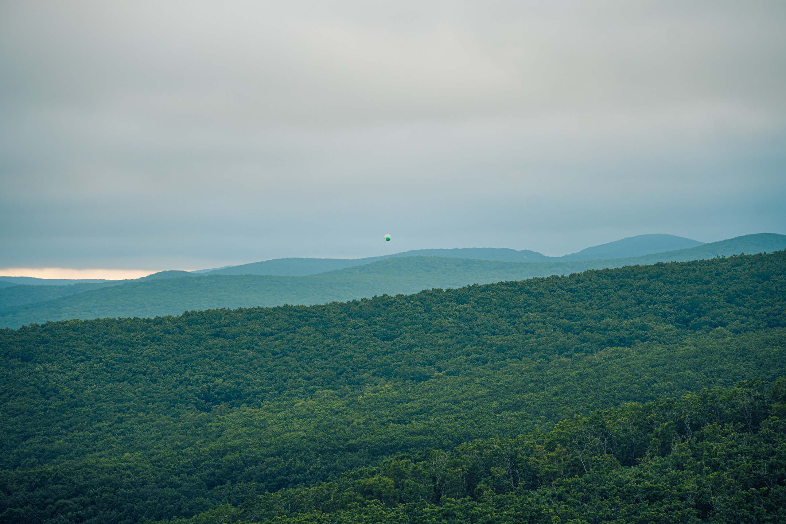 Бухта Дубовая. Иван Зайцев (IZIART) — создание культурного кода через фото и видео