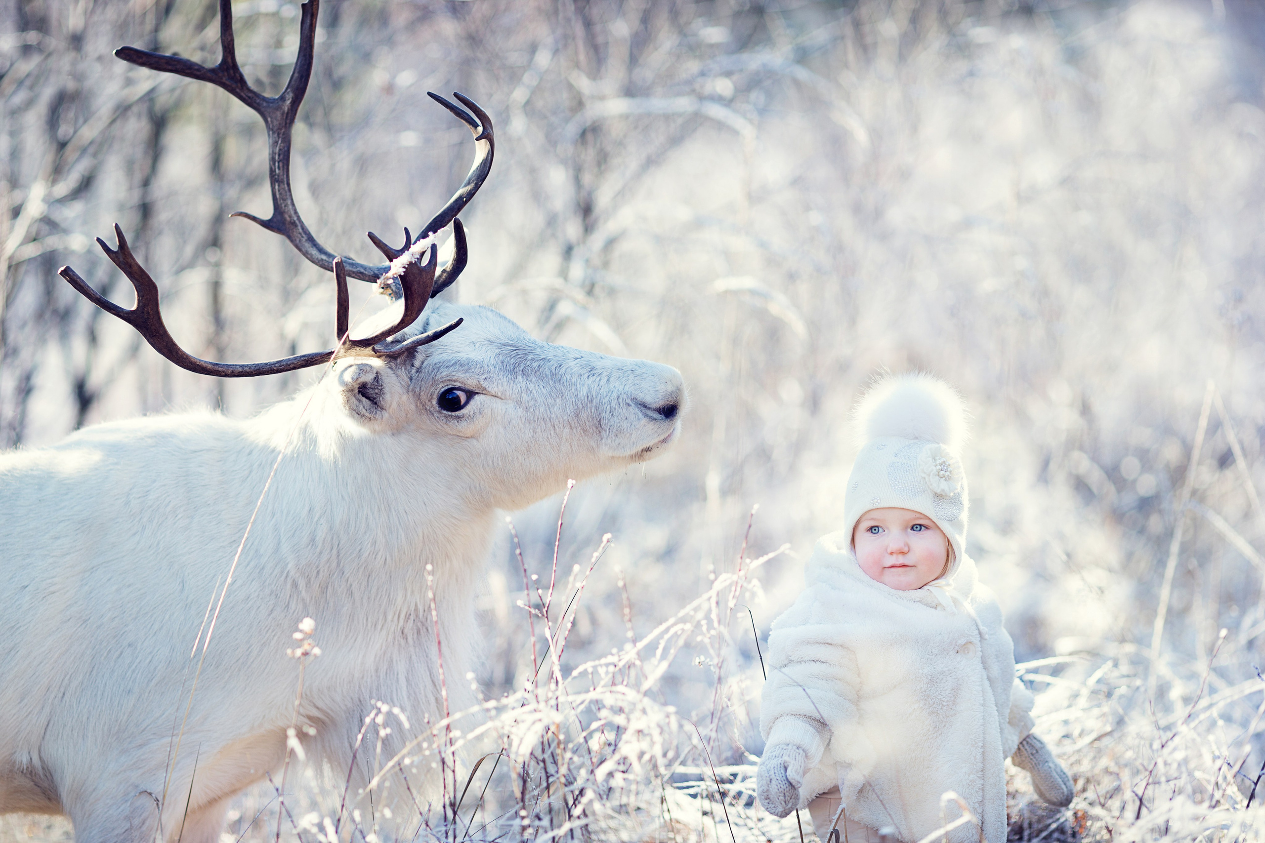 Портфолио. Карнеева Елена. Детский, семейный фотограф