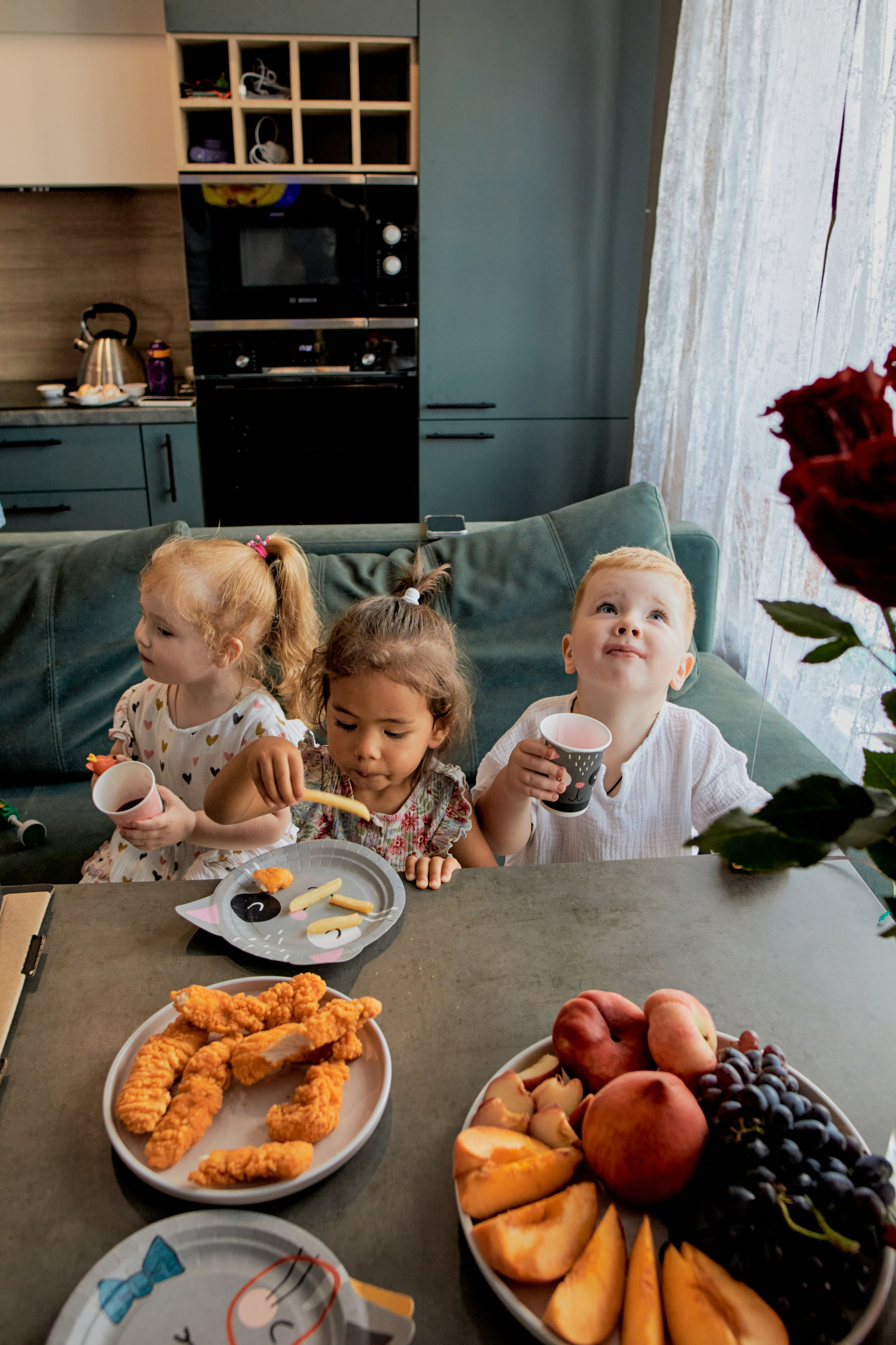 Три кота. Фотограф Москва