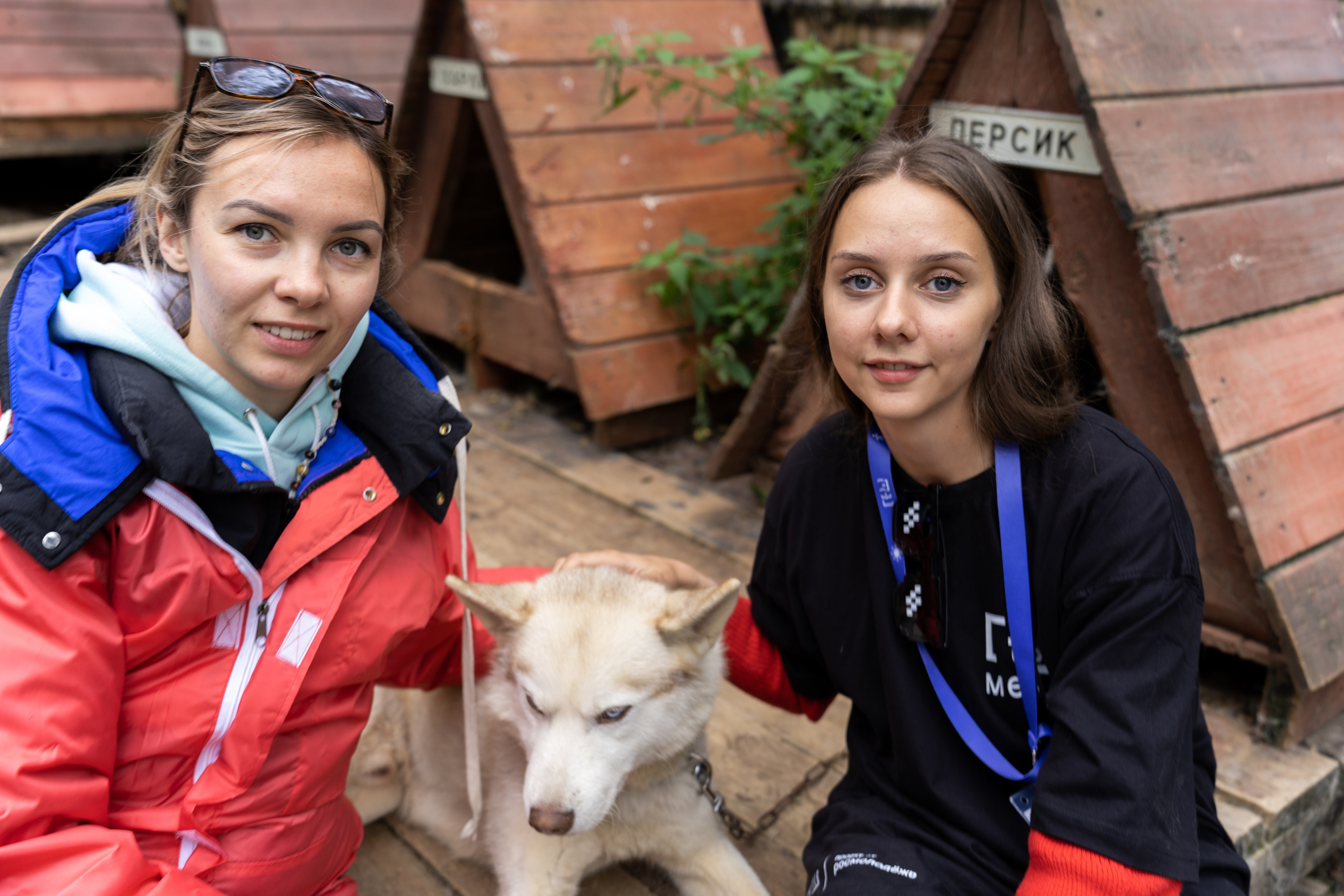 ВОЛЕНТЕРЫ | ХАСКИ. Свадебный и Репортажный Фотограф в Новокузнецке Гусаров Игорь