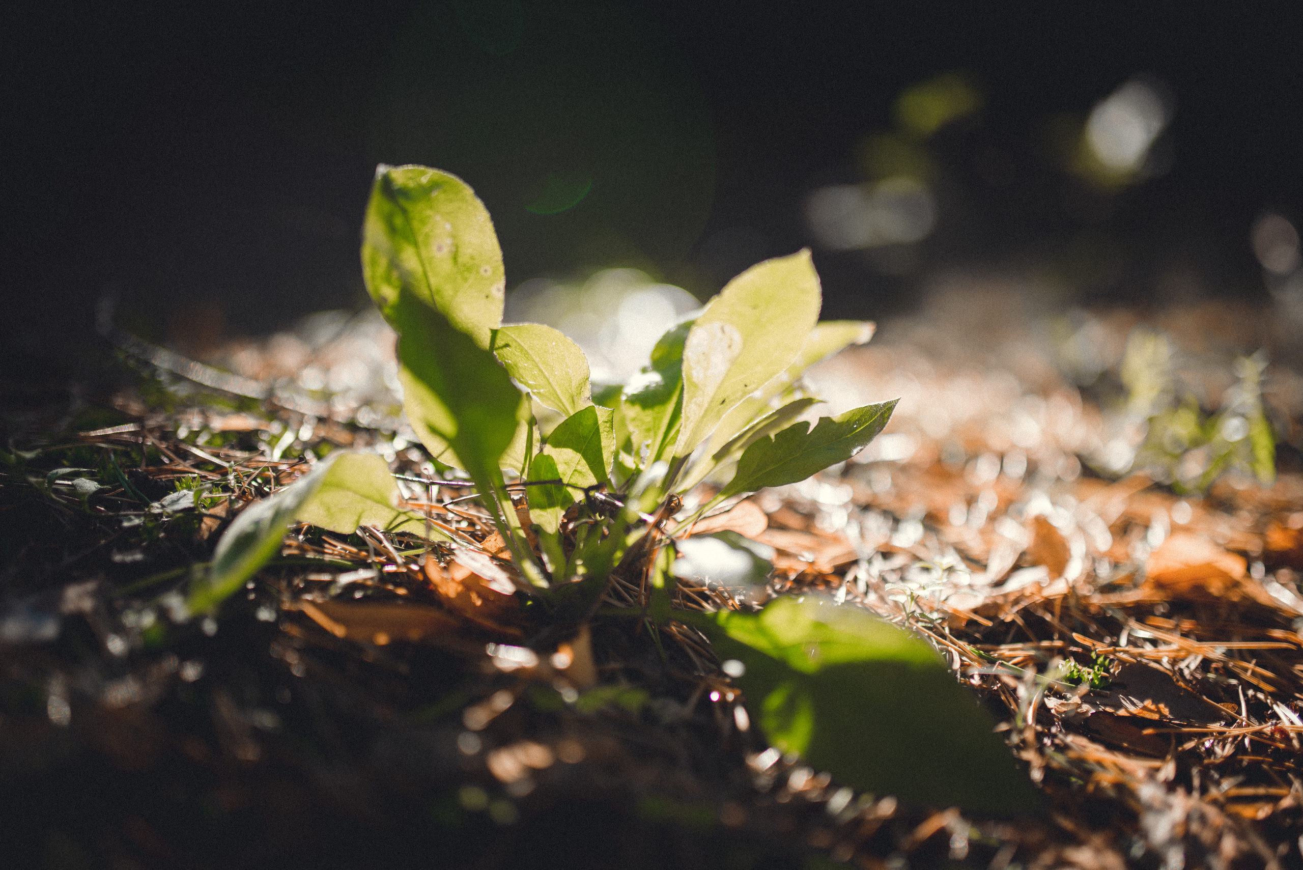 Контакты. Репортажный фотограф в Санкт-Петербурге