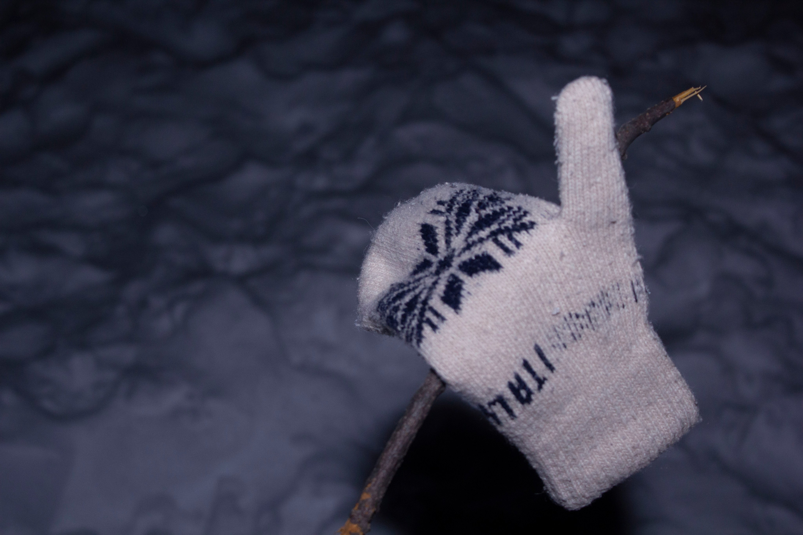 НЕ ТЕМНО 2024