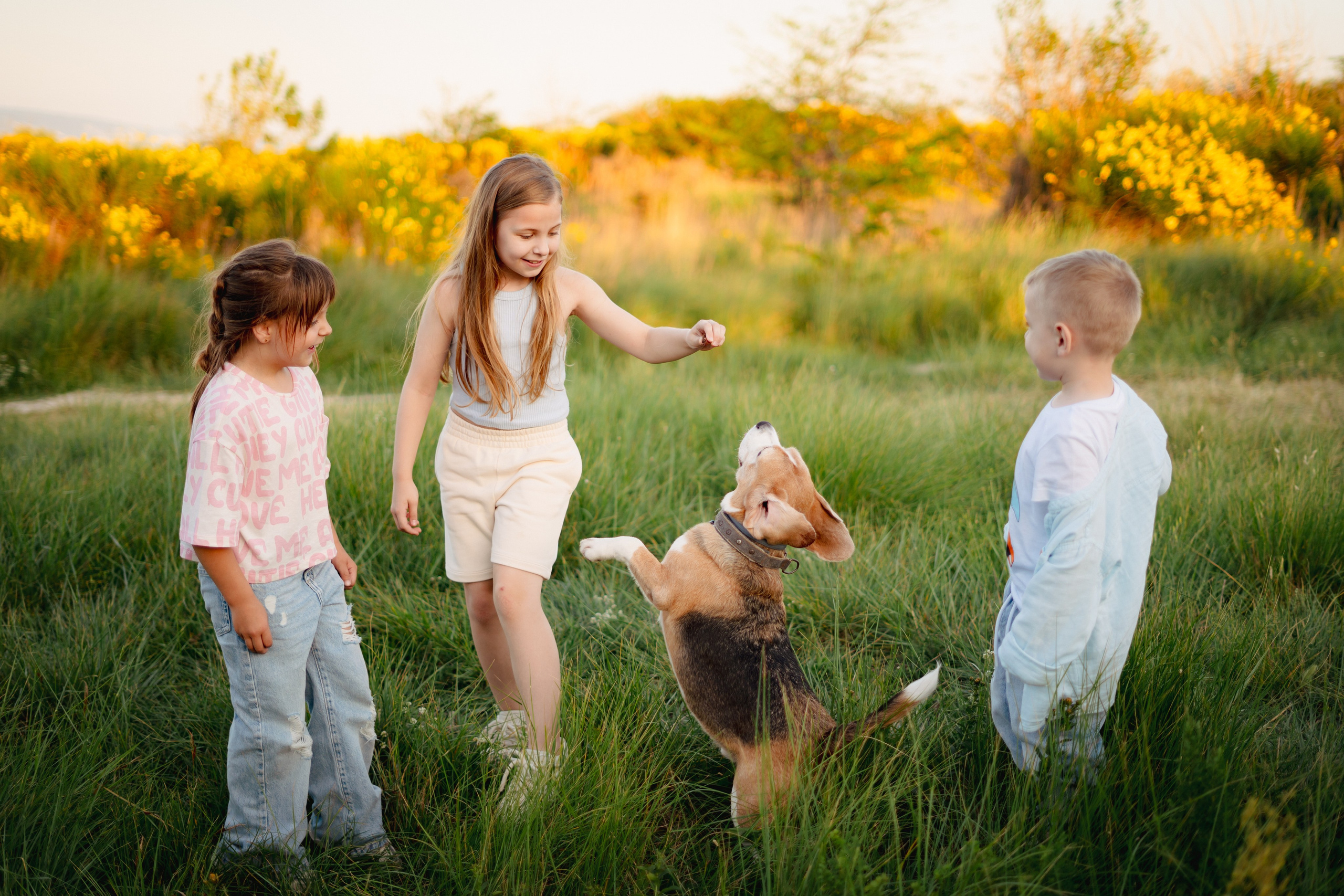 Семейные. Елена Луковская. Семейная, портретная, репоражная съёмка
