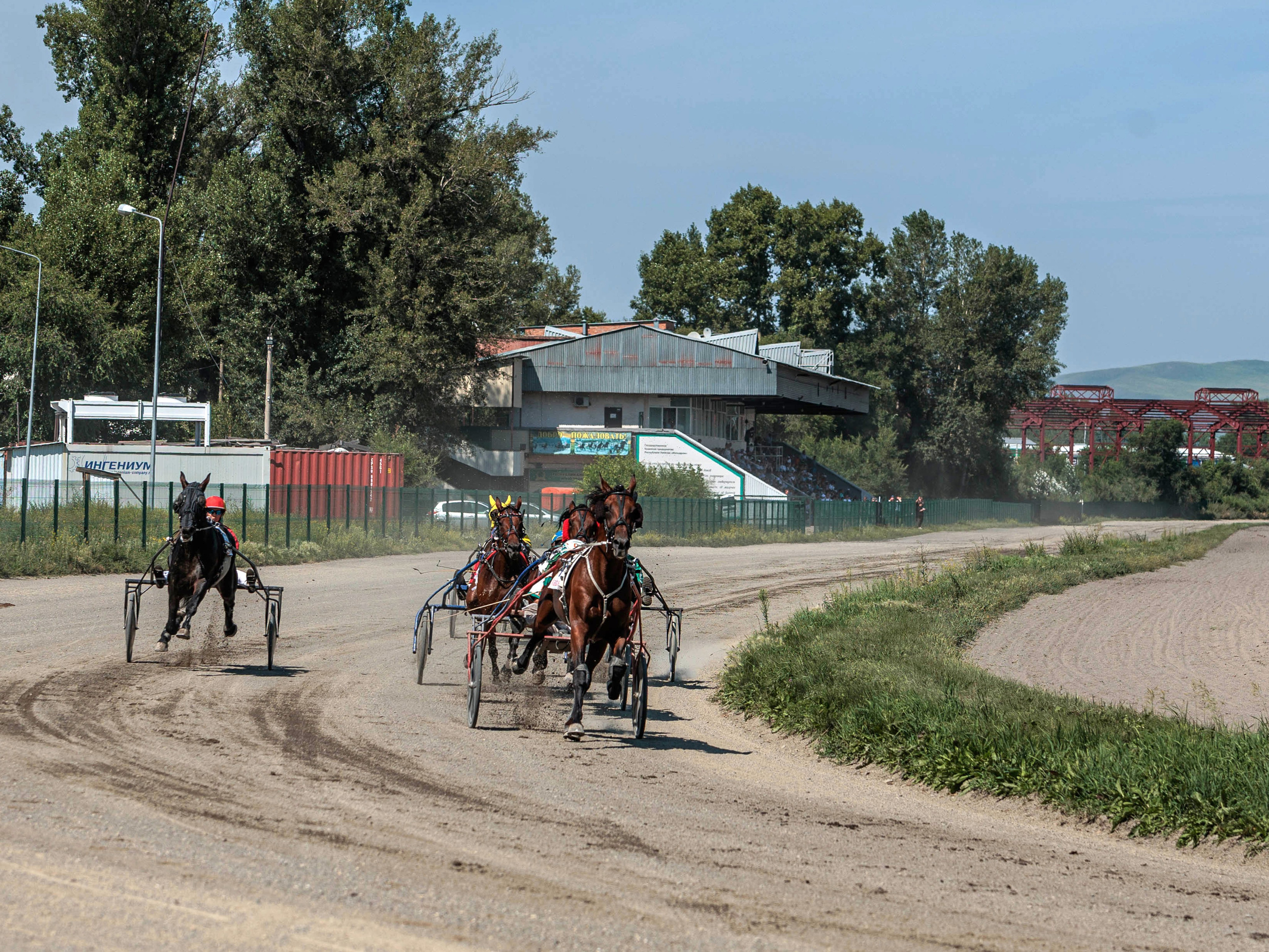 Зарисовки Абаканский ипподром 2025. Конный фотограф в Красноярске — Любовь Похабова