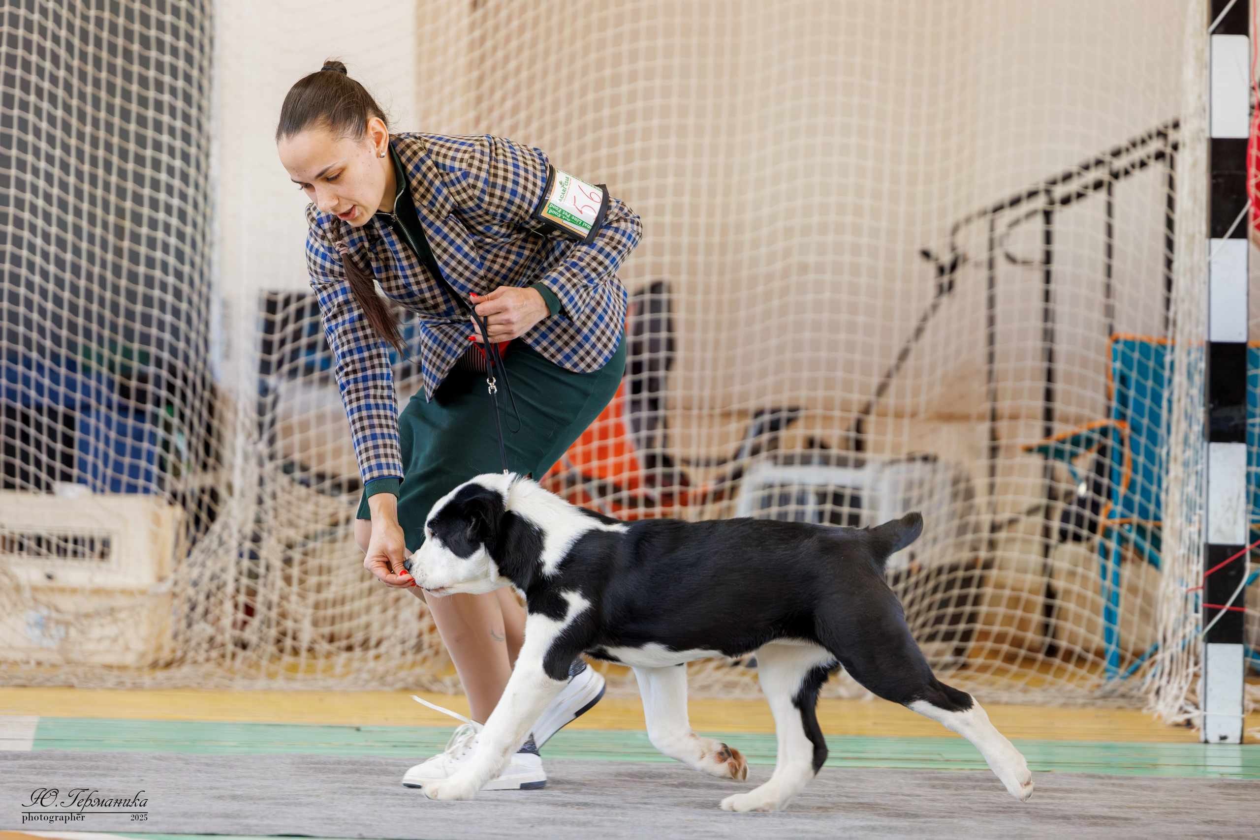 Тверь 12.04,Сфера 13.04,Сергиев Посад 19.04.2025. Фотограф-анималист Юлия Германика