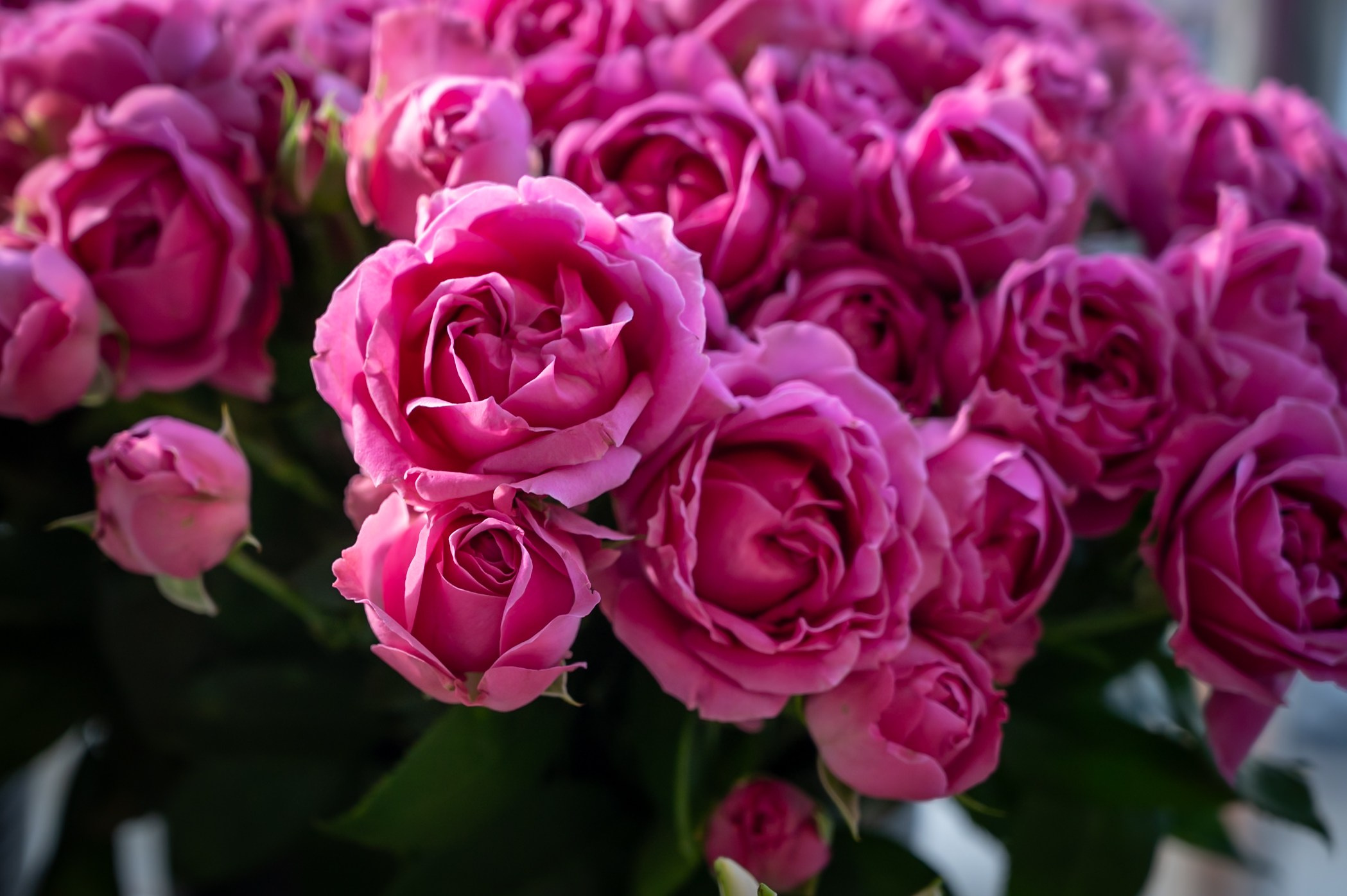 День рождения в ресторане «Ласточка»