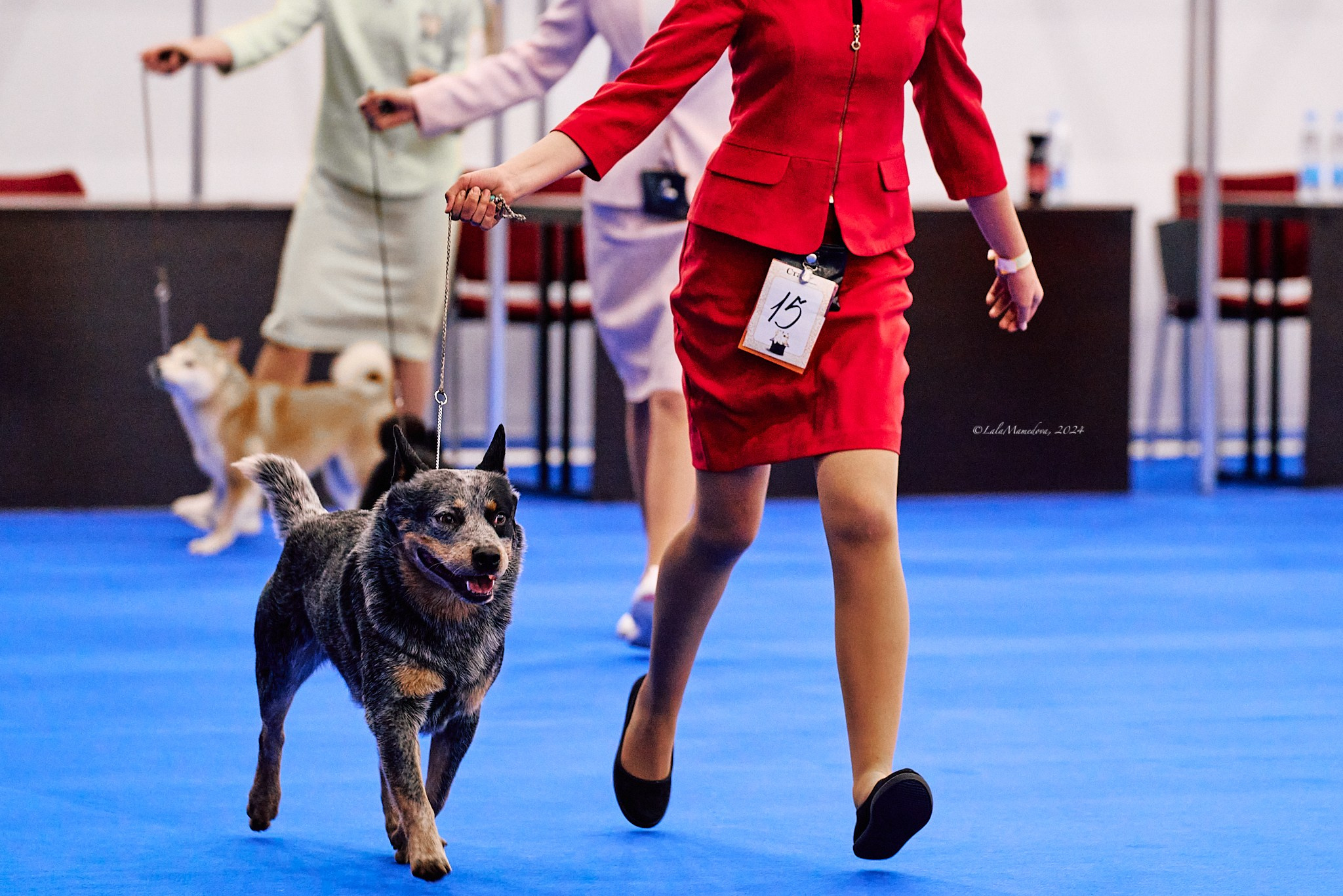 05.05.2024 | "Отечество нам Царское село"