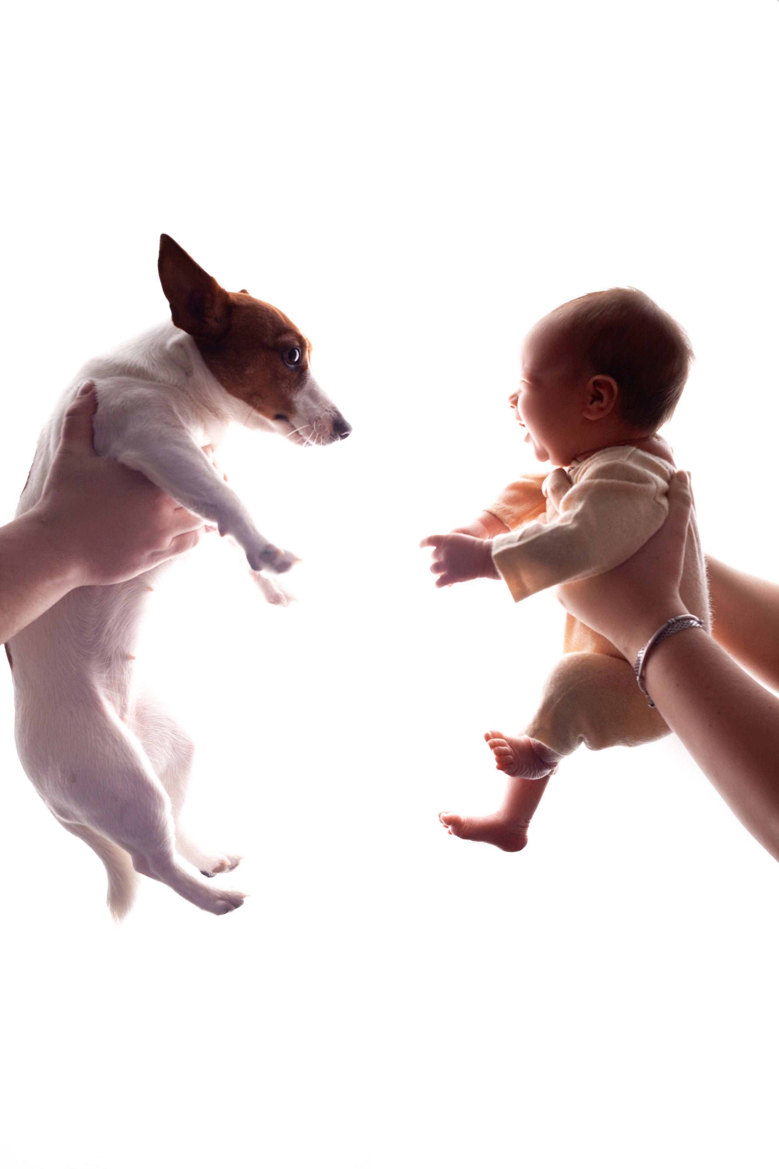 Девочки. Фотограф новорожденных г. Подольск, г. Жуковский, весь юг Москвы и Моск.обл