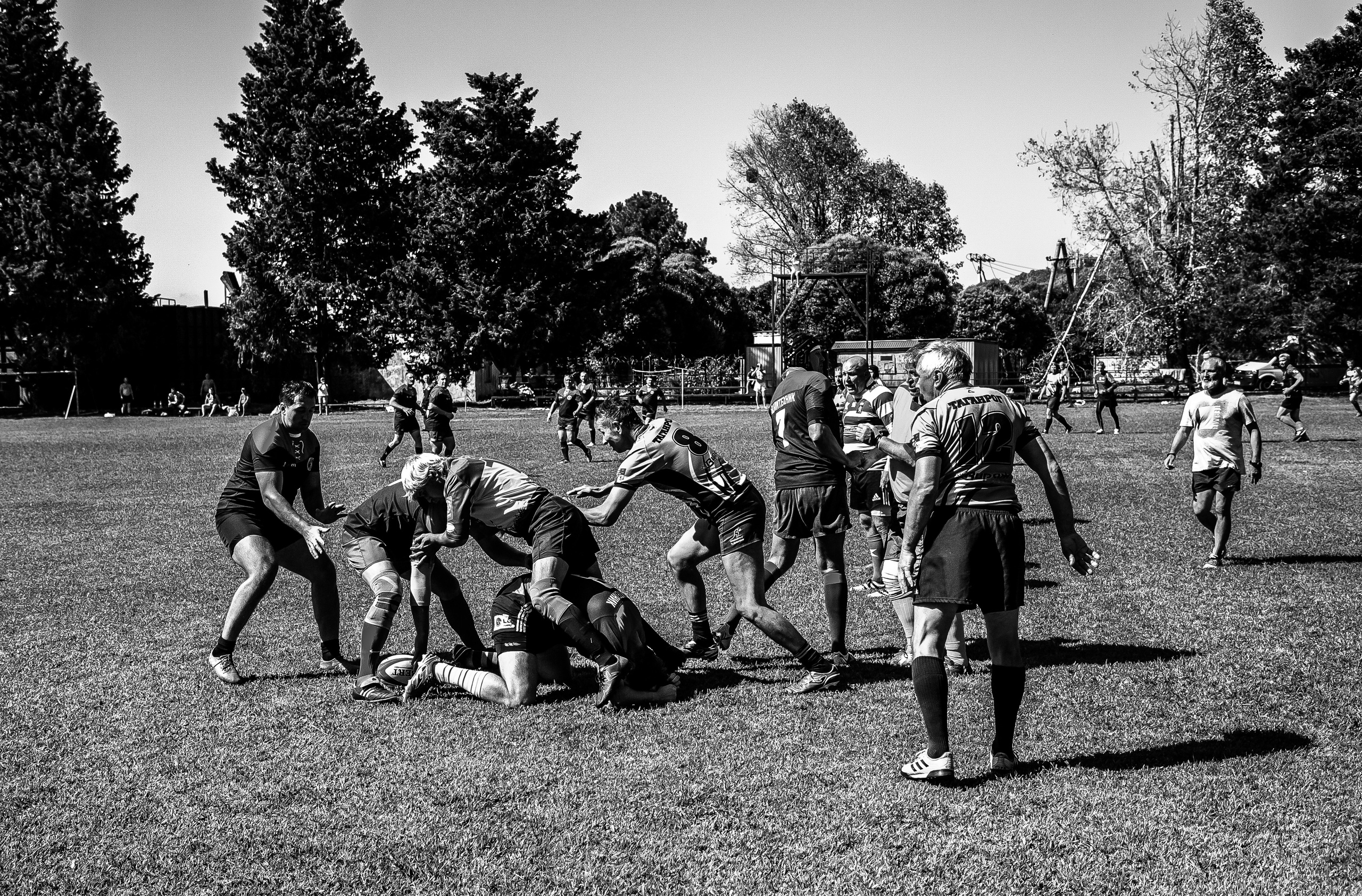 Политехник. Свадебный и семейный фотограф/видеограф в Краснодаре Наталья Осинская