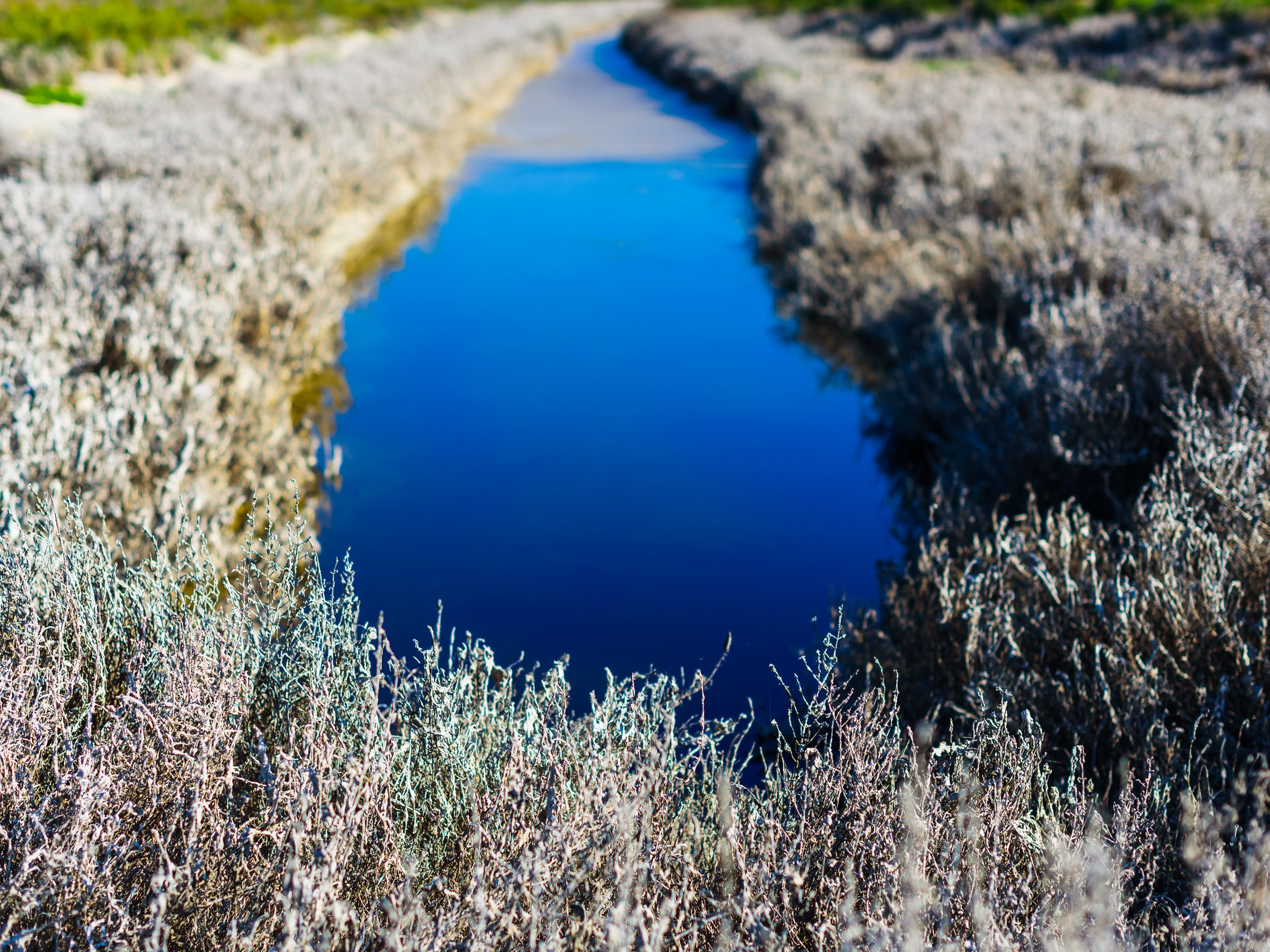 Пейзажная фотография. Авторские стильные фотокартины