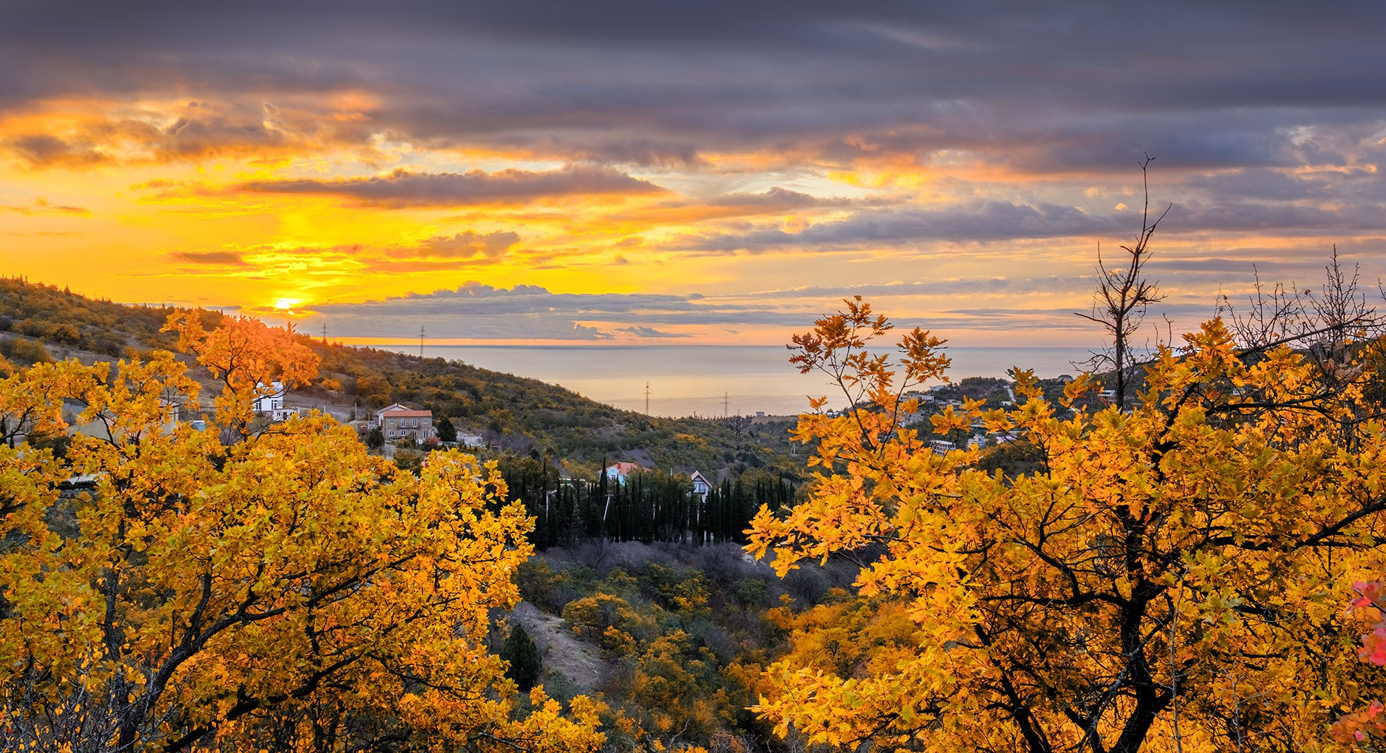 «Золотая осень в Крыму 2025»