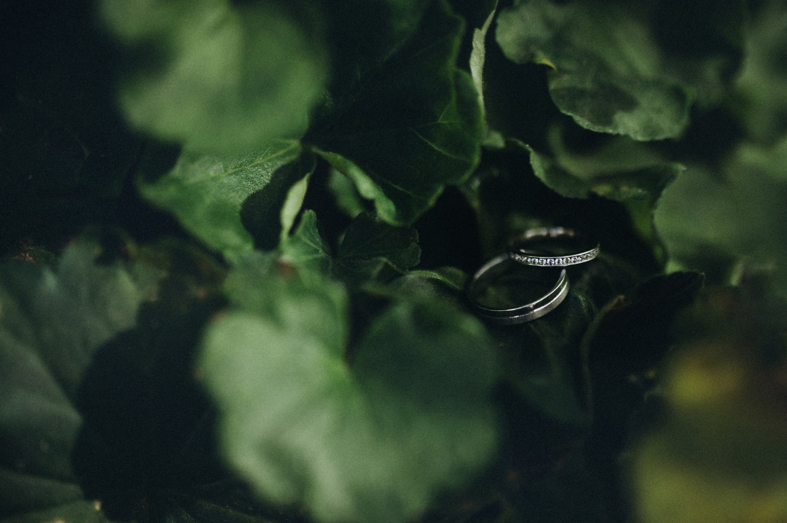 Артем и Юлия. Photographer in Sevastopol, Crimea and Moscow Gorbunov Denis