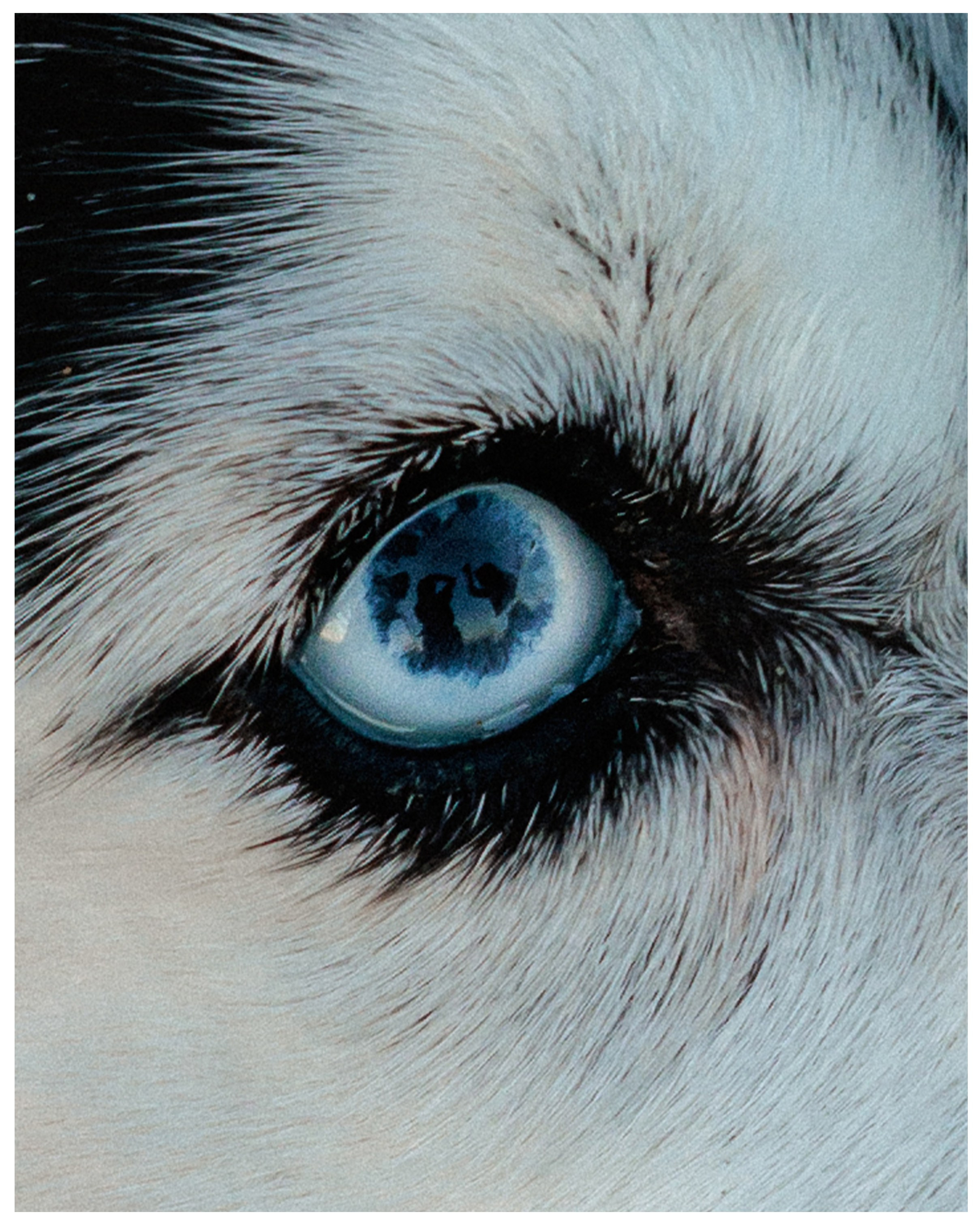 Елена и Эмми. Фотограф в Санкт-Петербурге Алёна Губинская