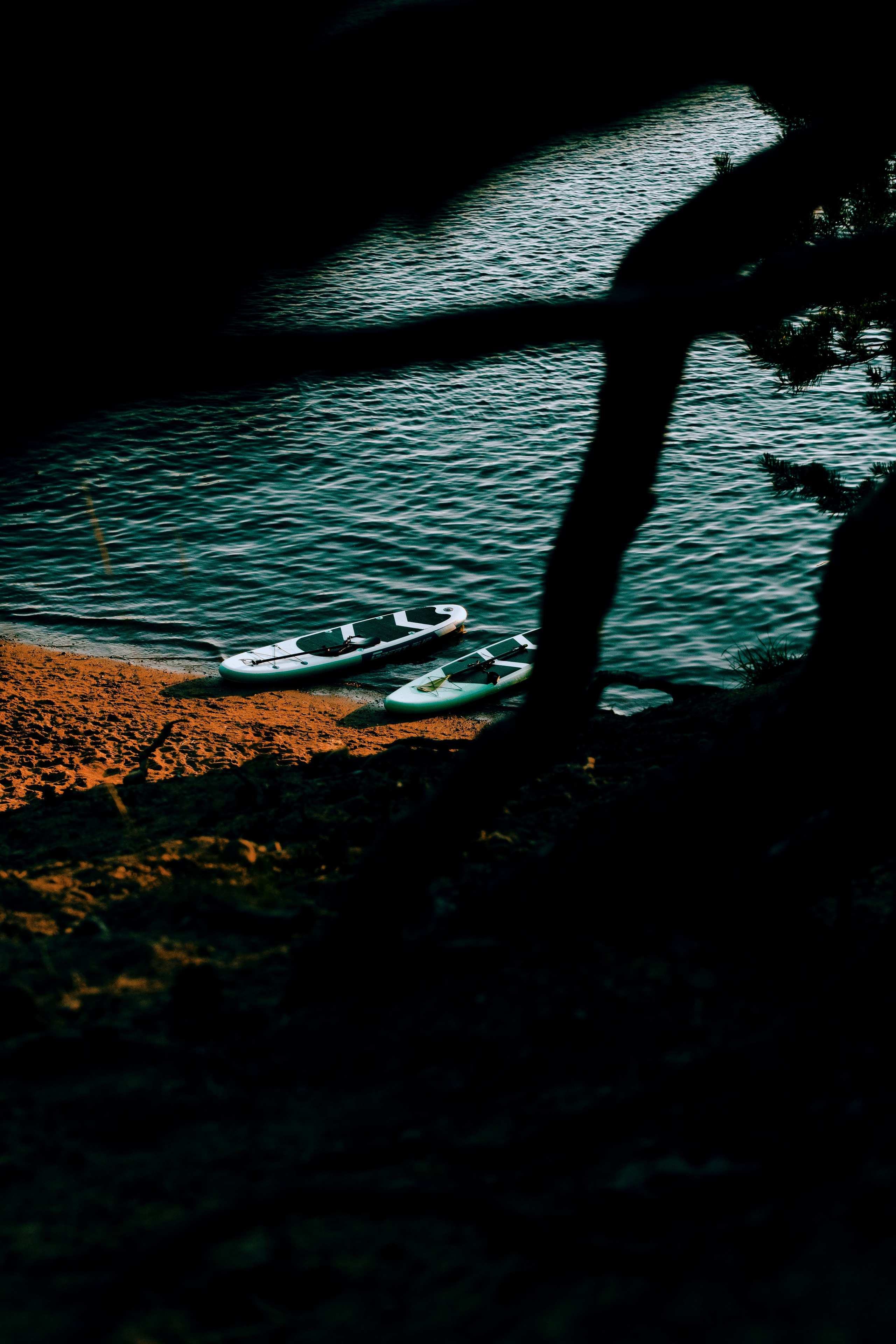 LIFE BLOG. PASHAHARCE PHOTOGRAPHER & VIDEOGRAPHER