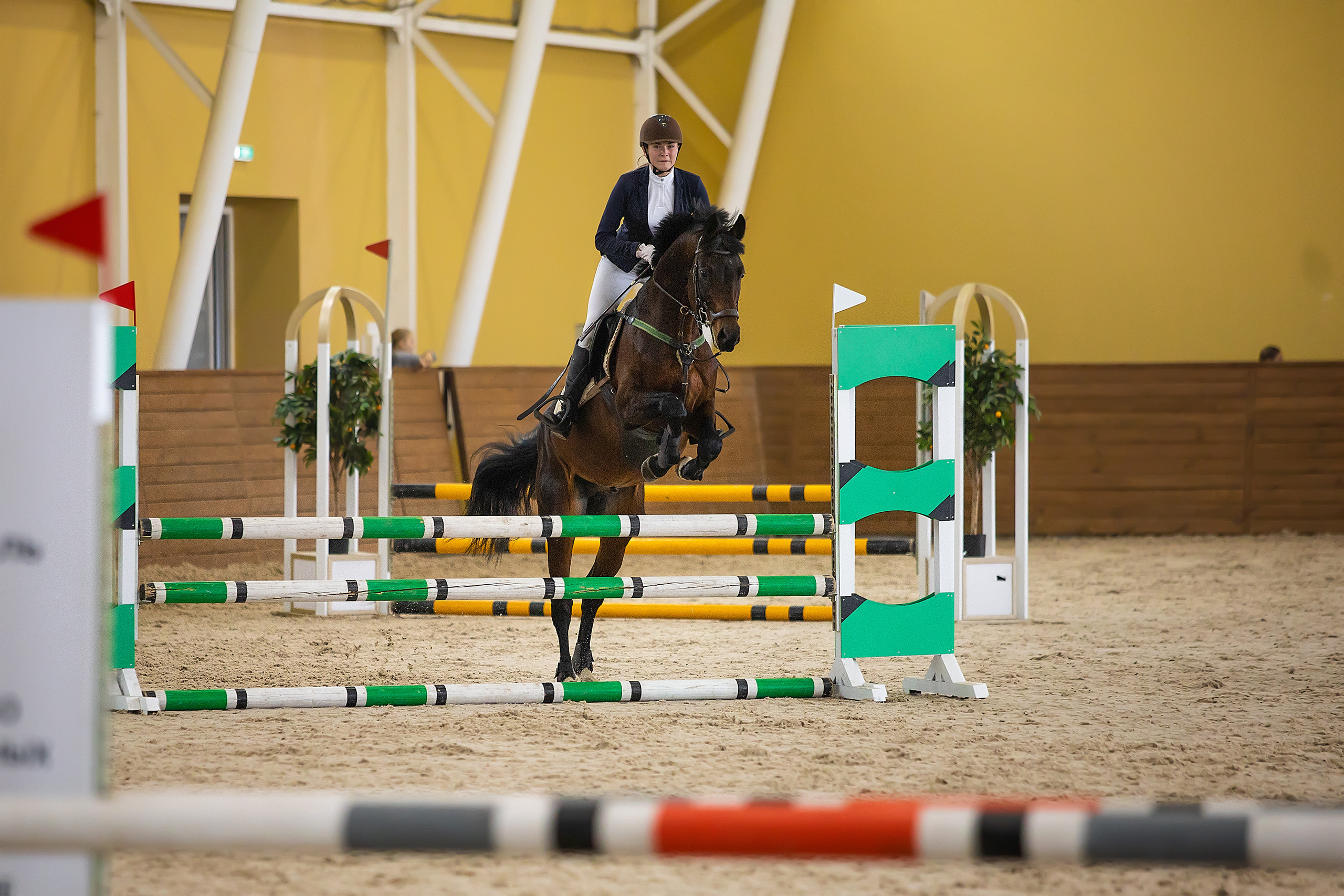 Соревнования. Конкур. Фотограф. Фотограф-анималист. Москва