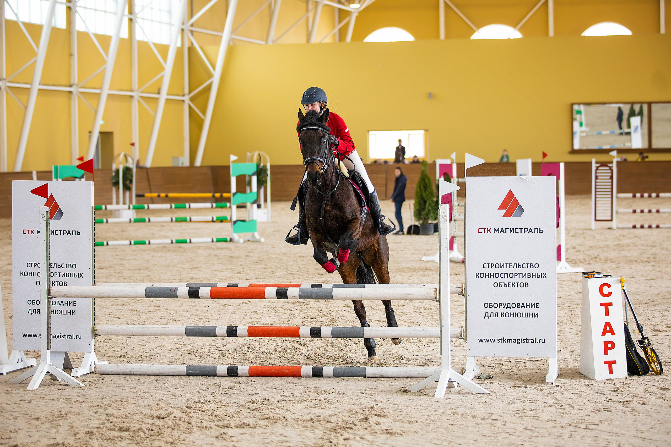 Соревнования. Конкур. Фотограф. Фотограф-анималист. Москва