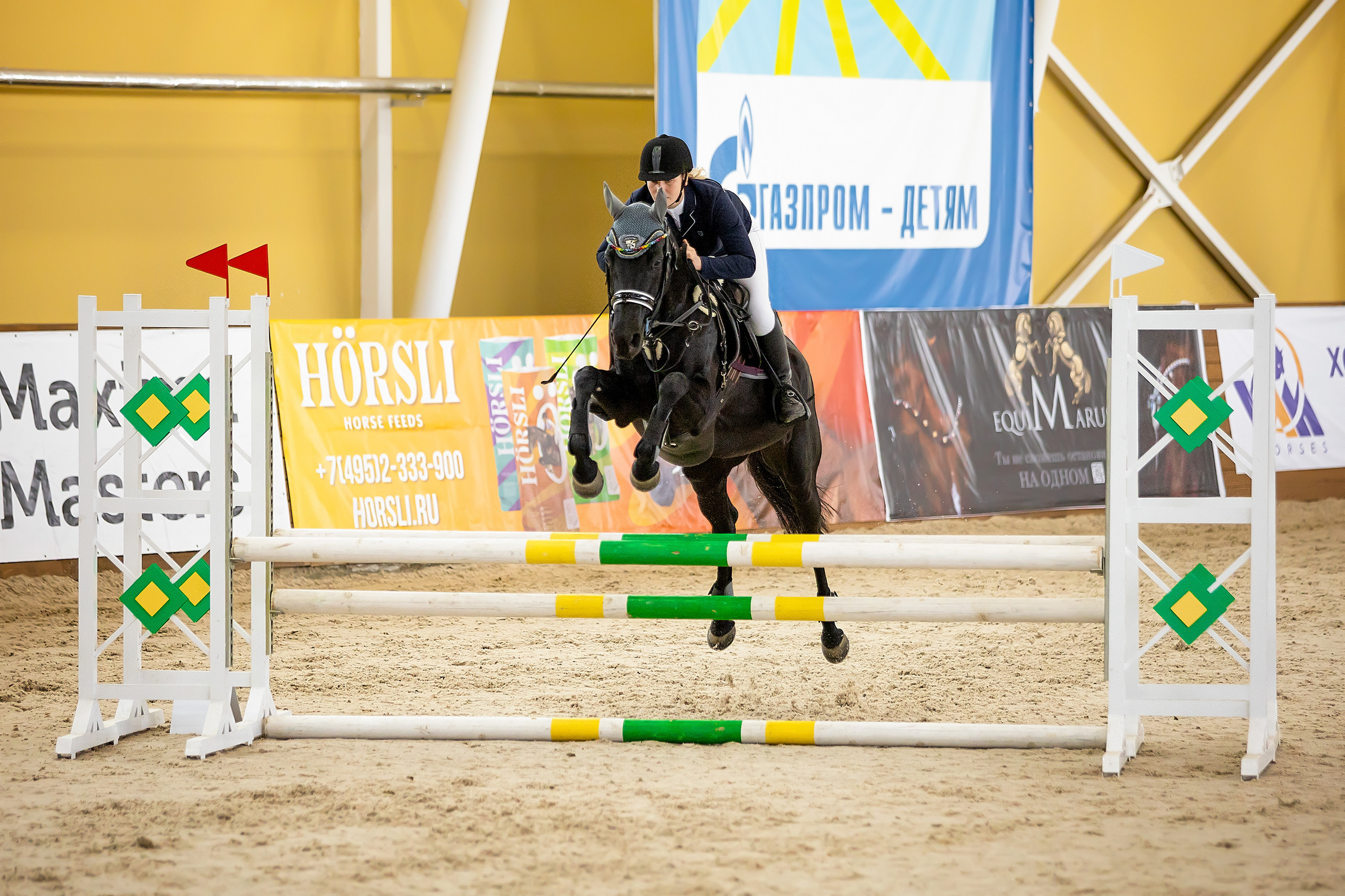 Соревнования. Конкур. Фотограф. Фотограф-анималист. Москва