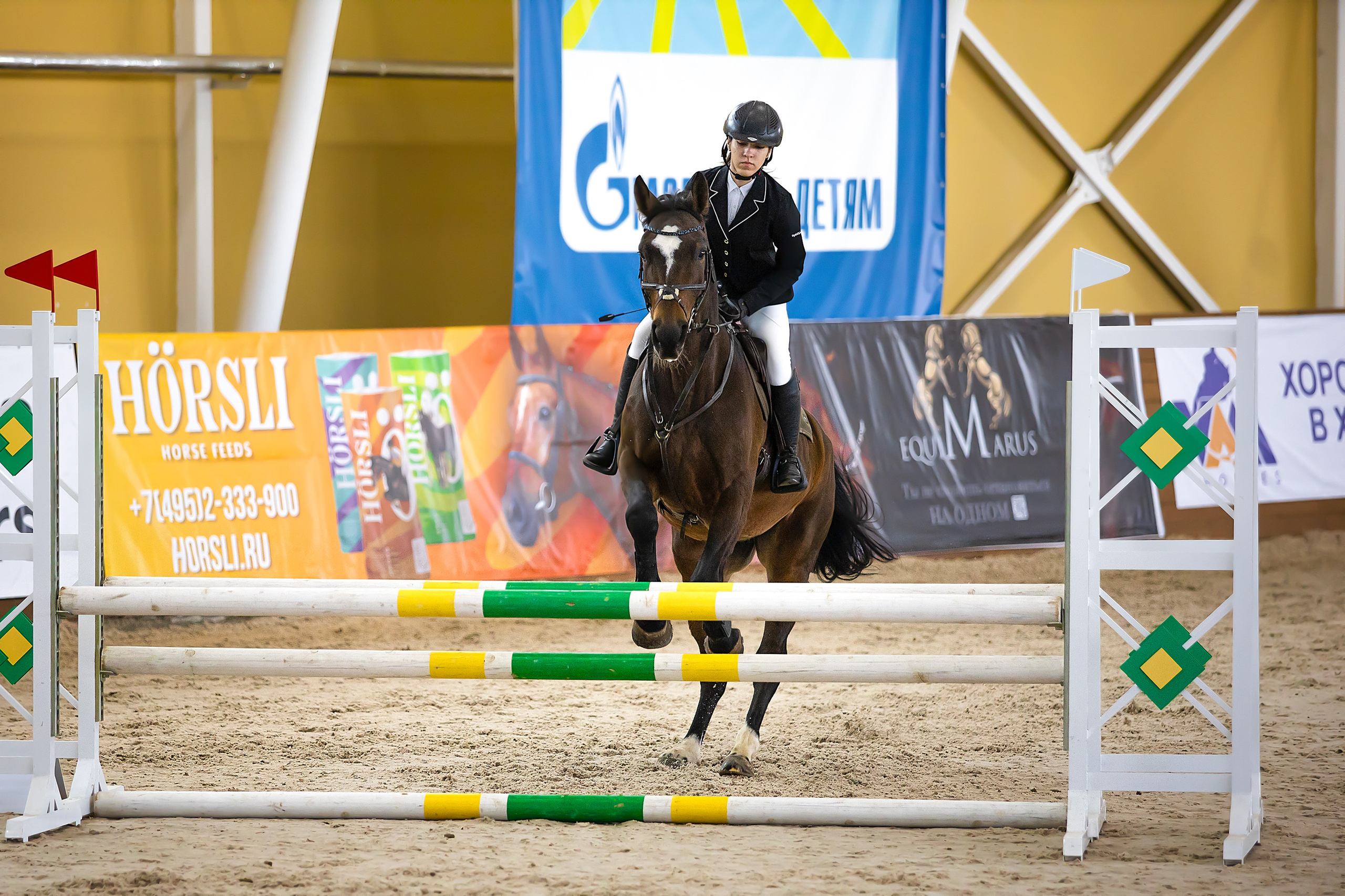 Соревнования. Конкур. Фотограф. Фотограф-анималист. Москва