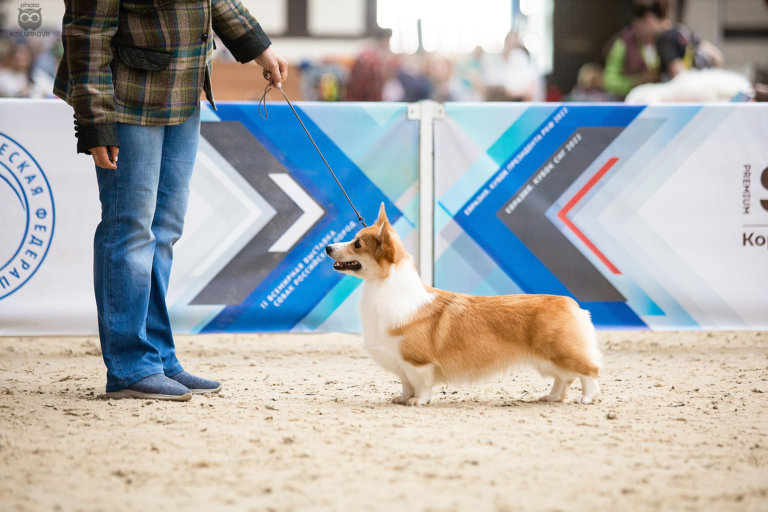 Выставочный репортаж. Фотограф. Фотограф-анималист. Москва