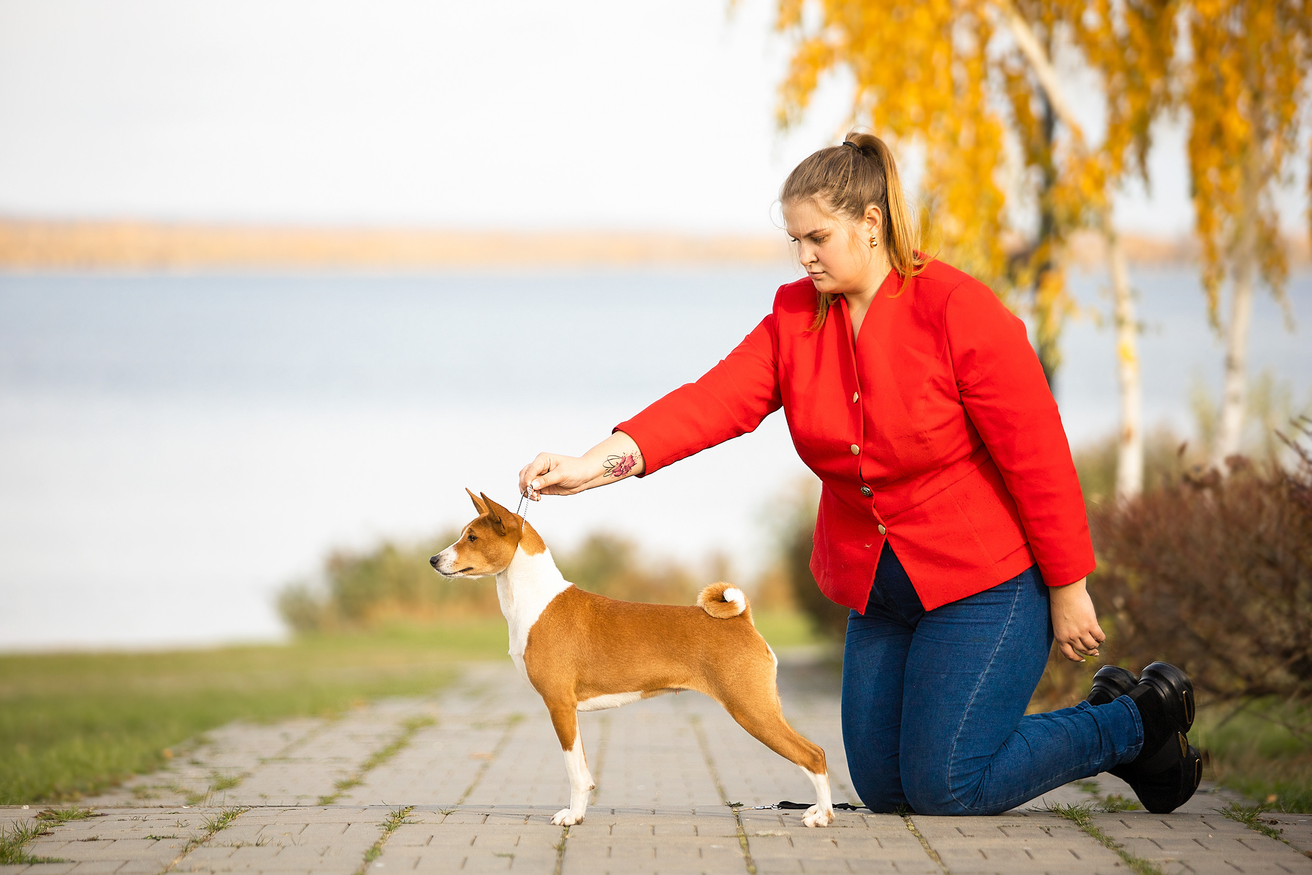 Экстерьерные фотосессии. Фотограф. Фотограф-анималист. Москва