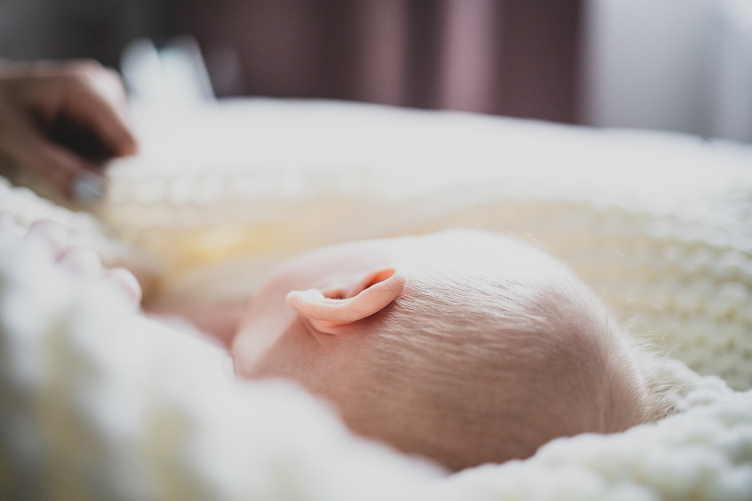 Екатерина и малыш Миша. Фотограф. Фотограф-анималист. Москва