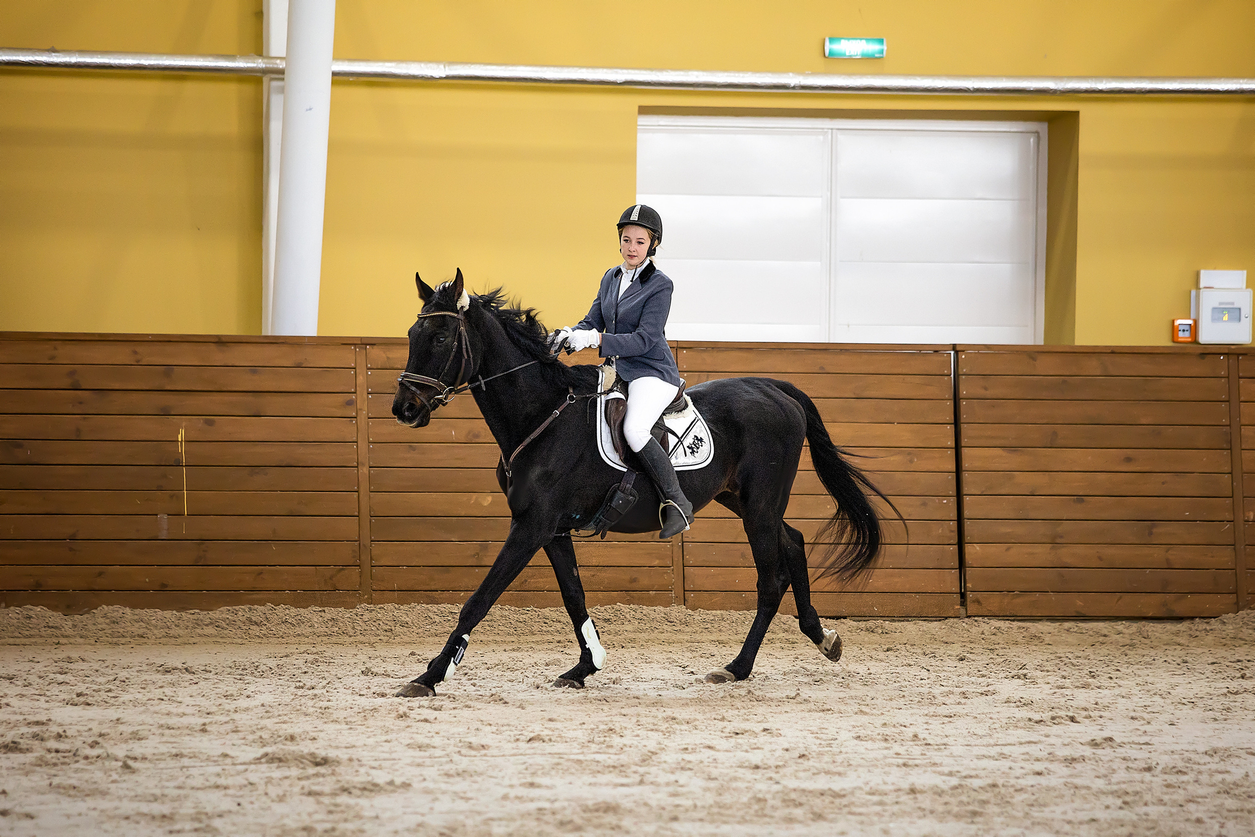 Соревнования. Конкур. Фотограф. Фотограф-анималист. Москва