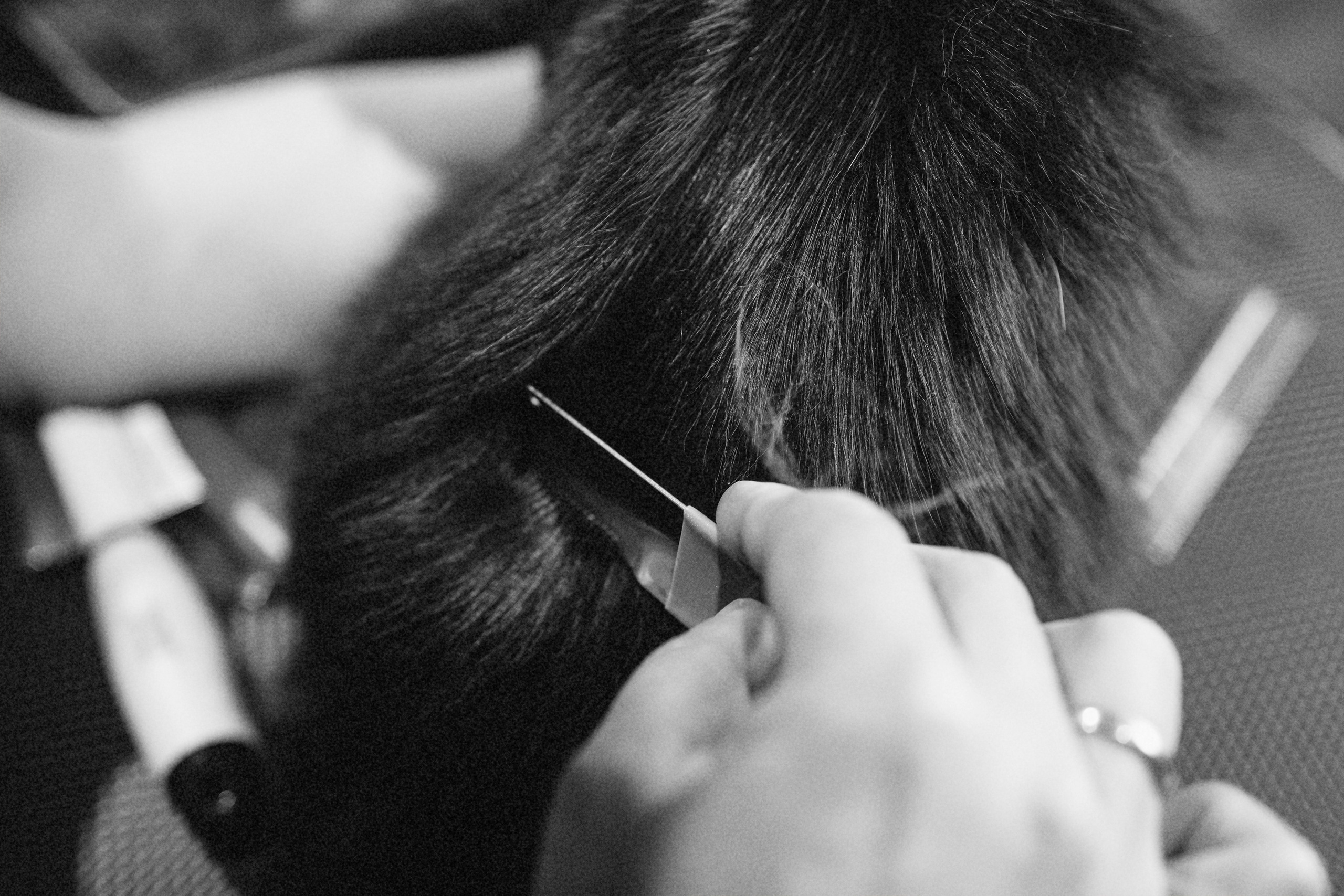 Репортаж из груминг салона. Фотограф. Фотограф-анималист. Москва