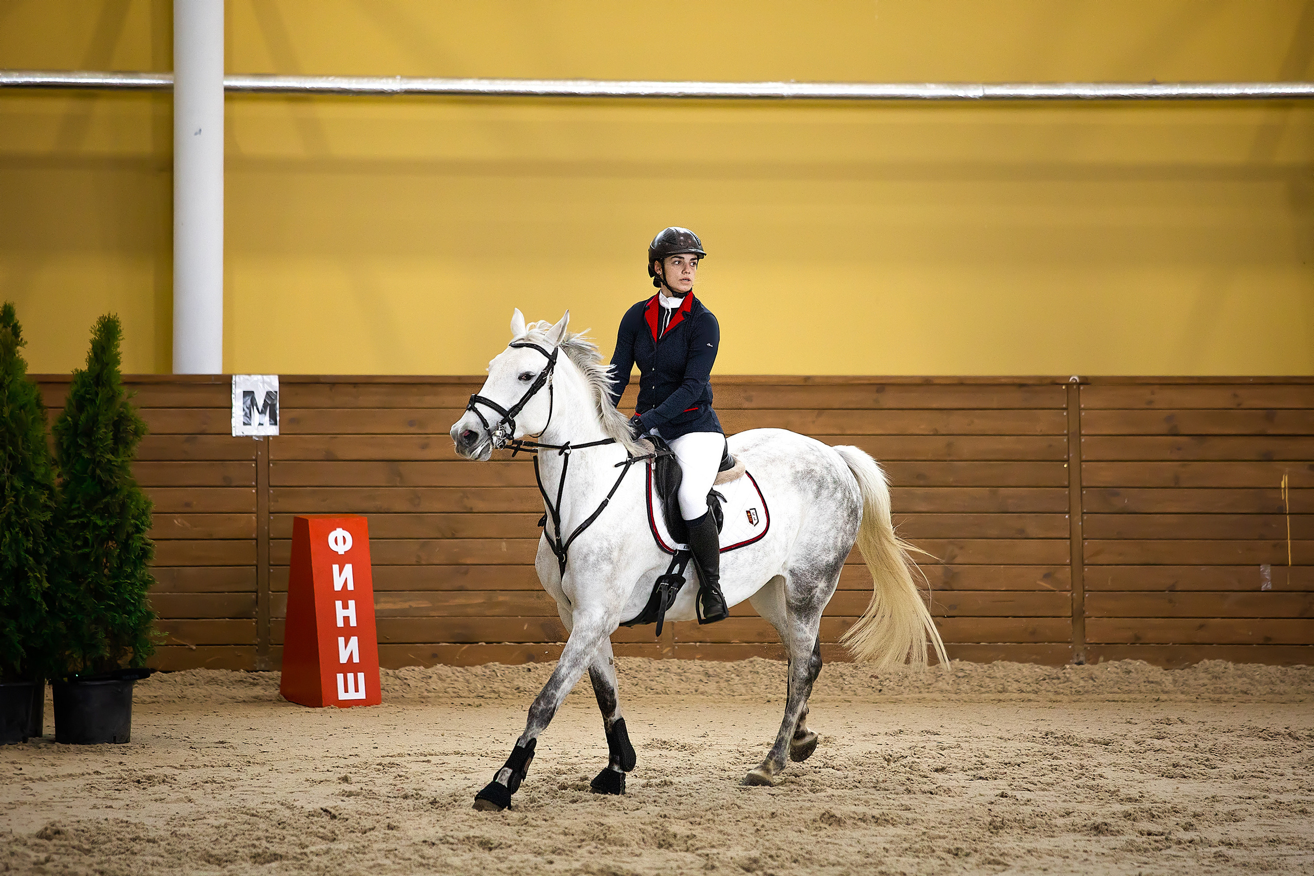 Соревнования. Конкур. Фотограф. Фотограф-анималист. Москва