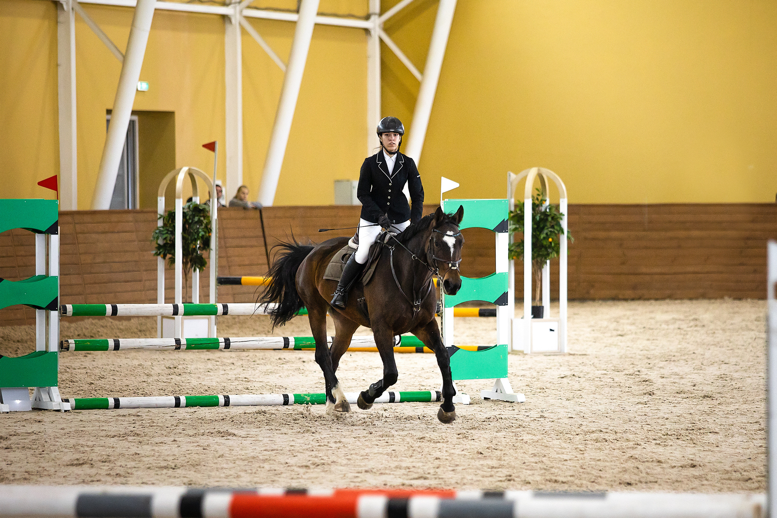 Соревнования. Конкур. Фотограф. Фотограф-анималист. Москва