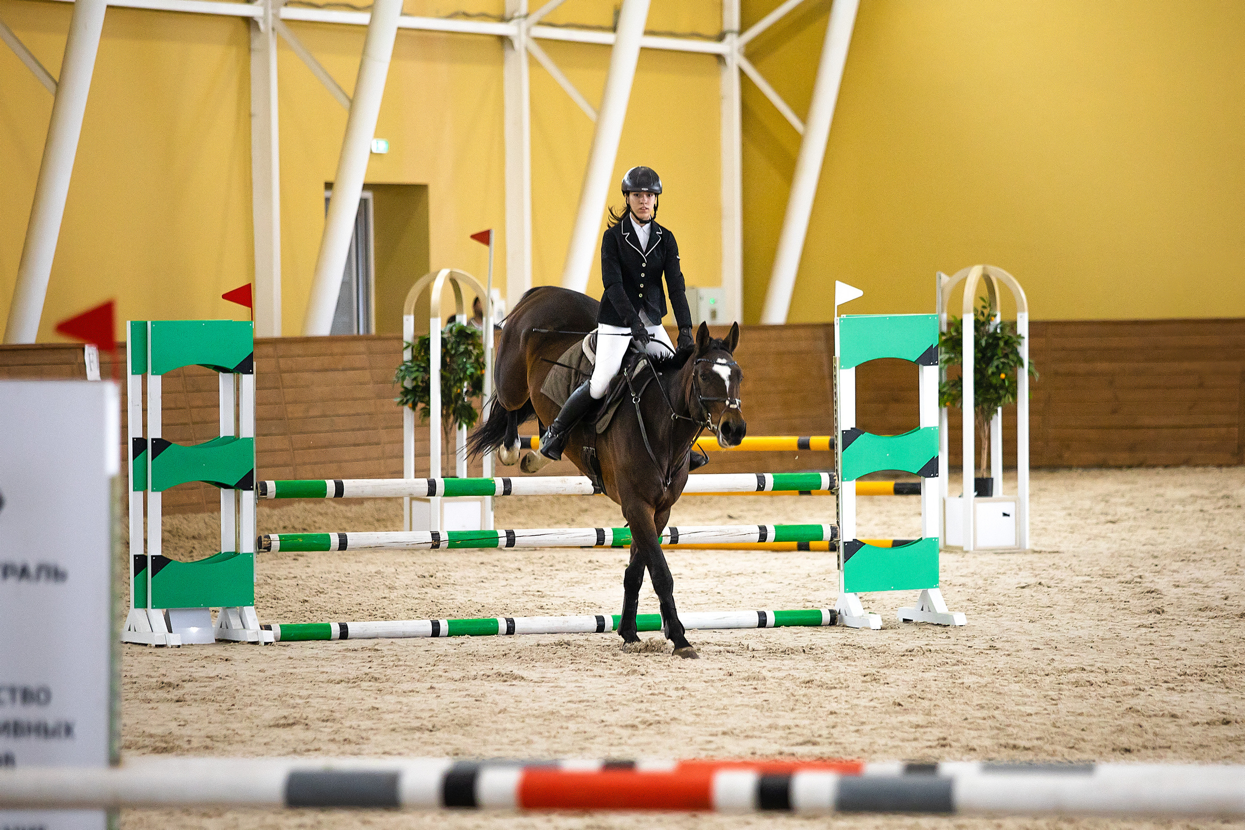 Соревнования. Конкур. Фотограф. Фотограф-анималист. Москва