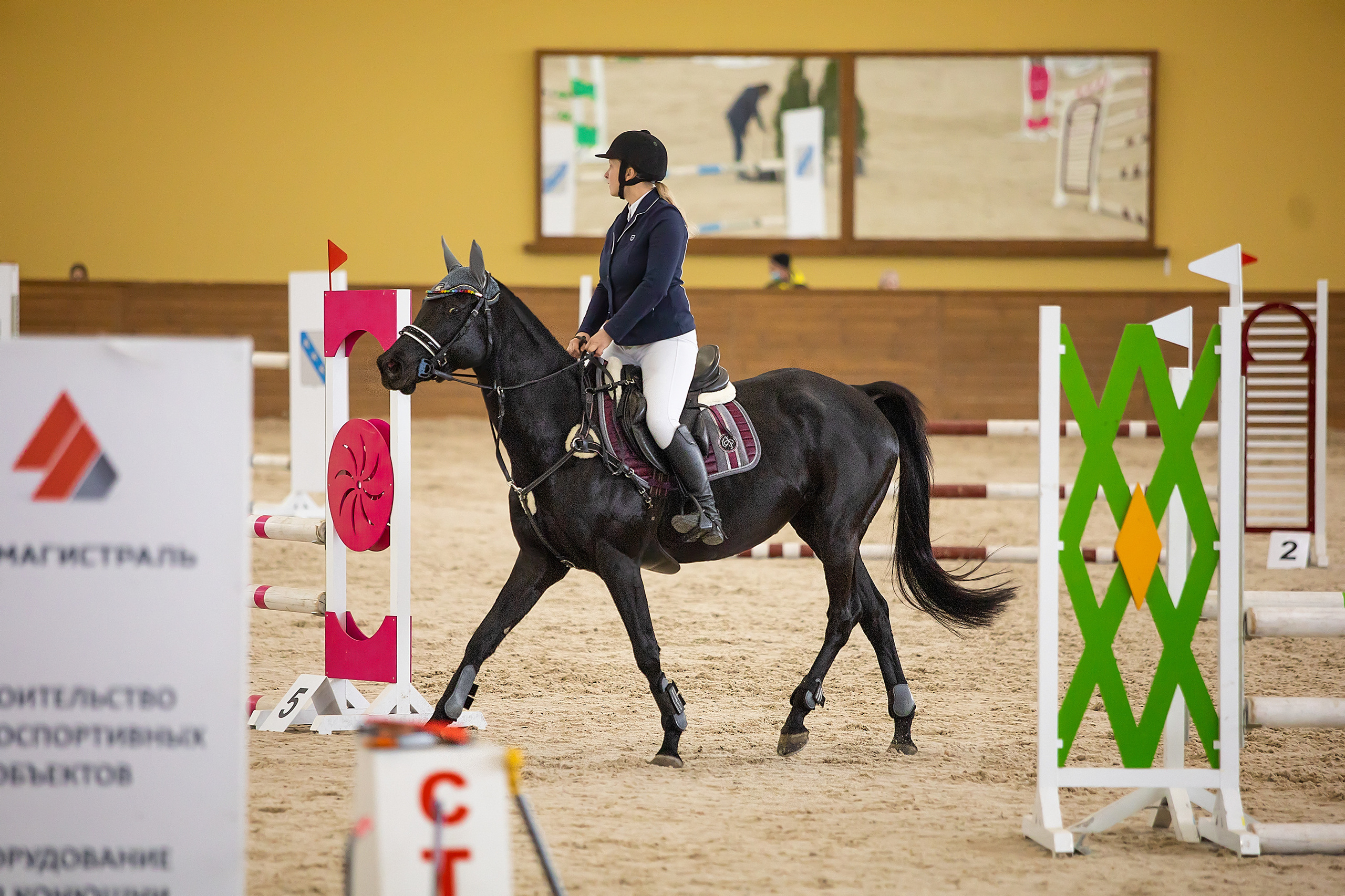Соревнования. Конкур. Фотограф. Фотограф-анималист. Москва