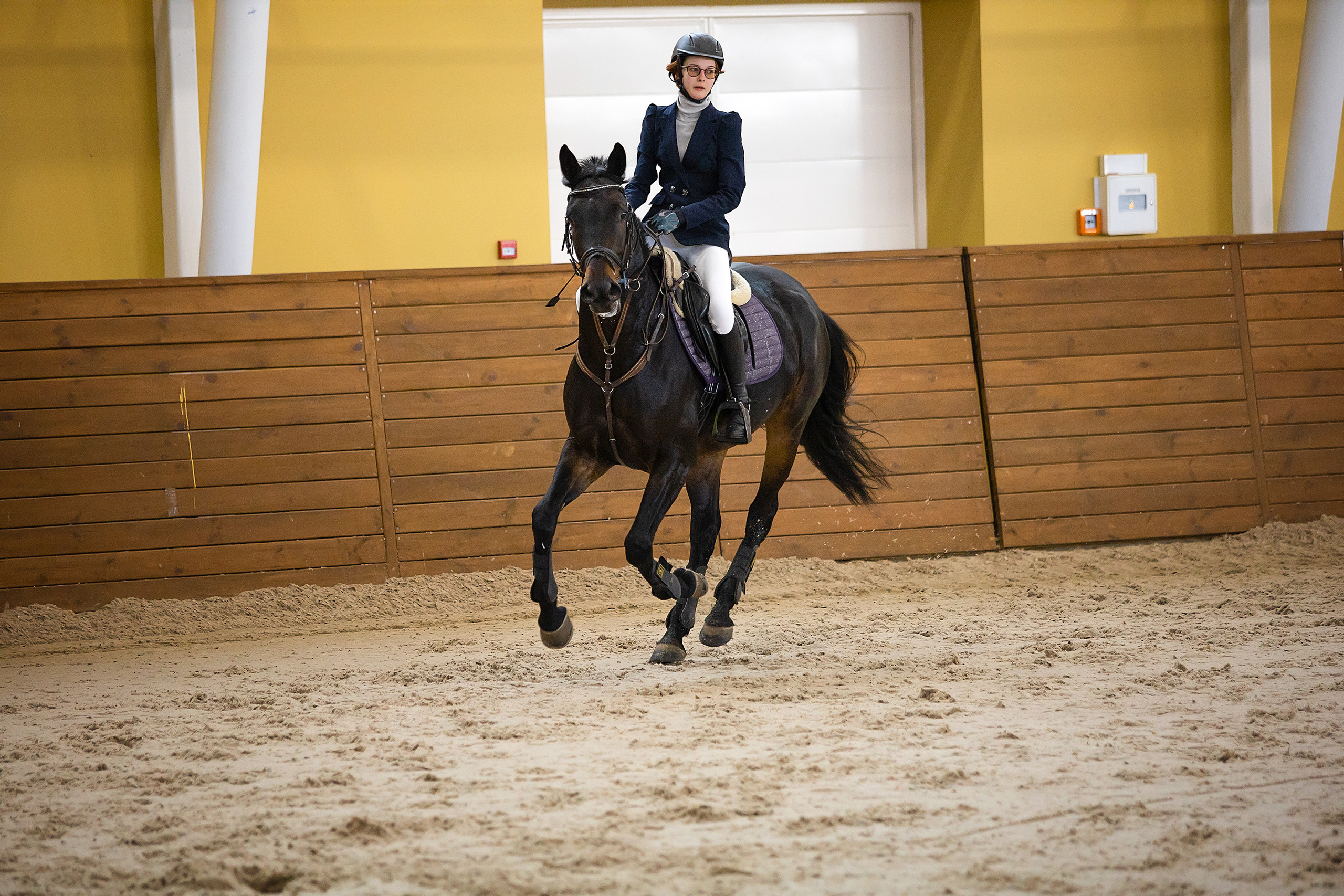 Соревнования. Конкур. Фотограф. Фотограф-анималист. Москва