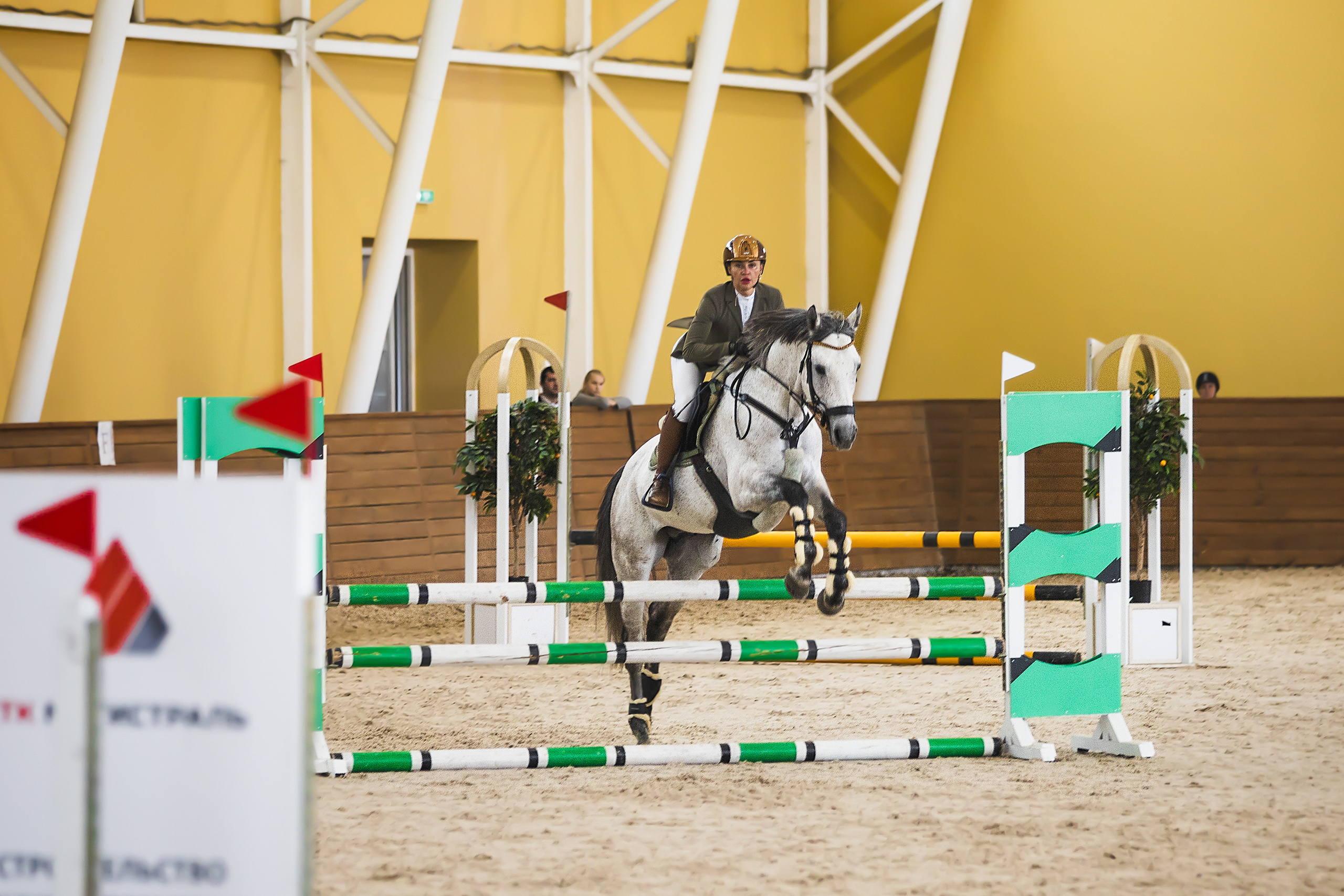 Соревнования. Конкур. Фотограф. Фотограф-анималист. Москва