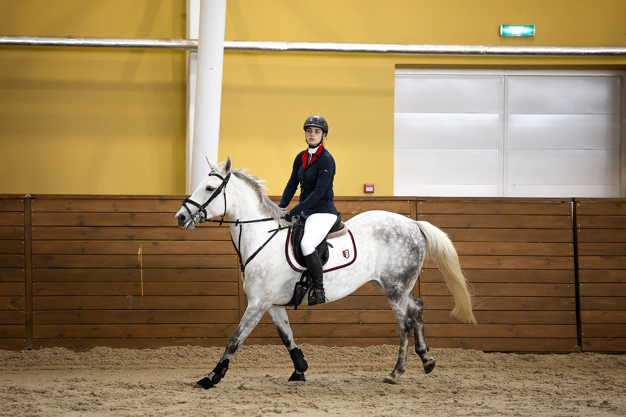 Соревнования. Конкур. Фотограф. Фотограф-анималист. Москва