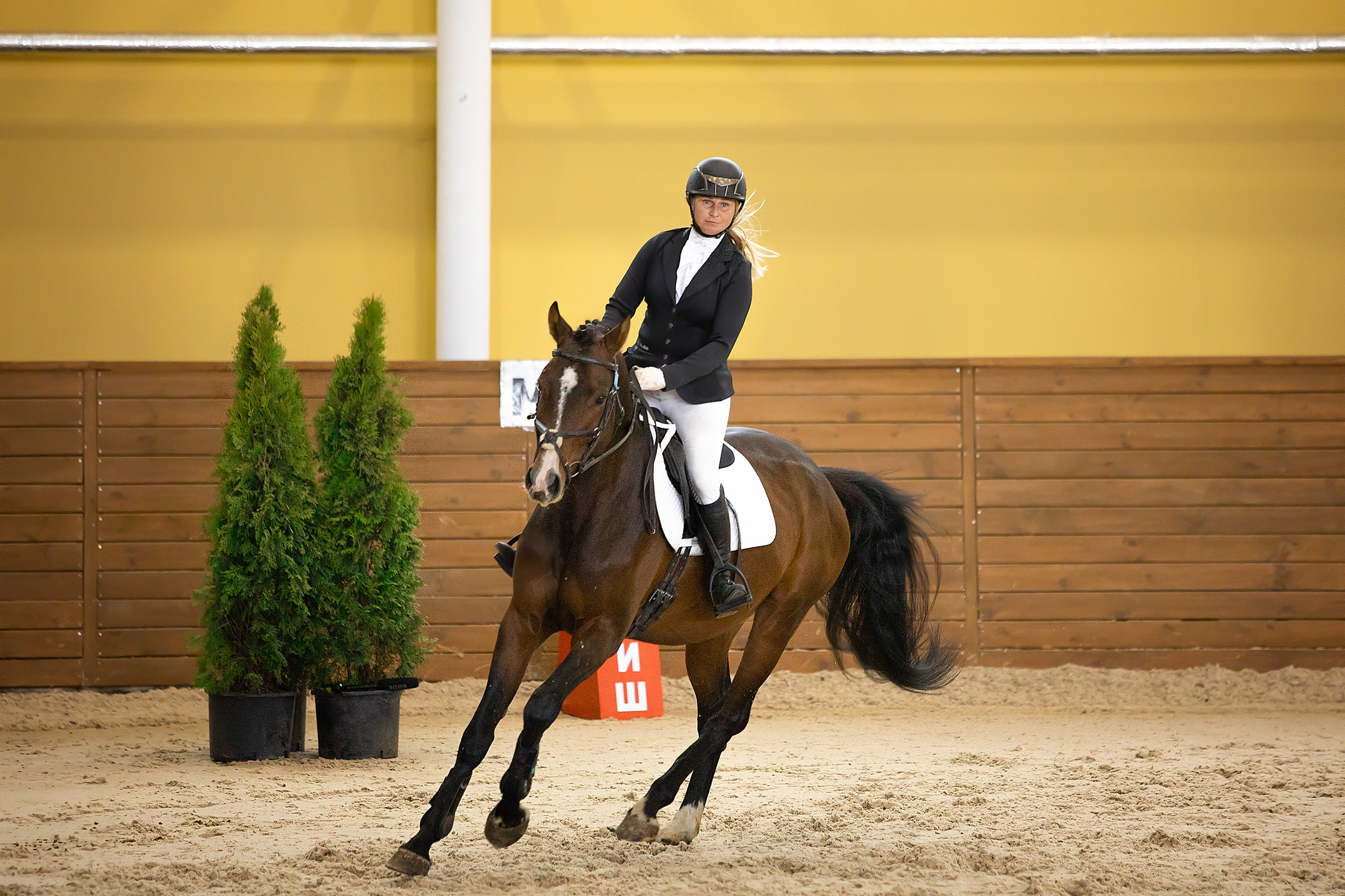 Соревнования. Конкур. Фотограф. Фотограф-анималист. Москва