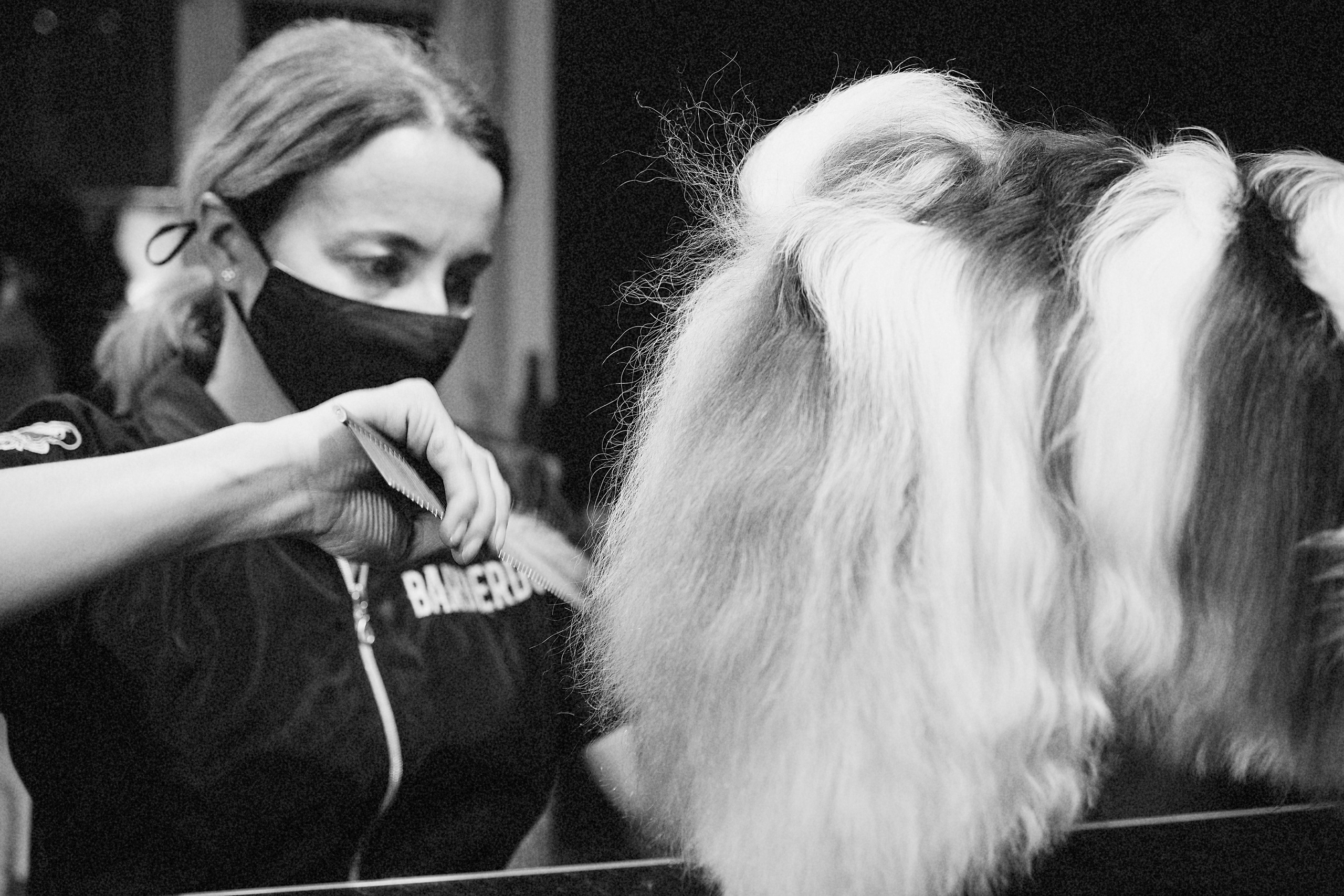 Репортаж из груминг салона. Фотограф. Фотограф-анималист. Москва