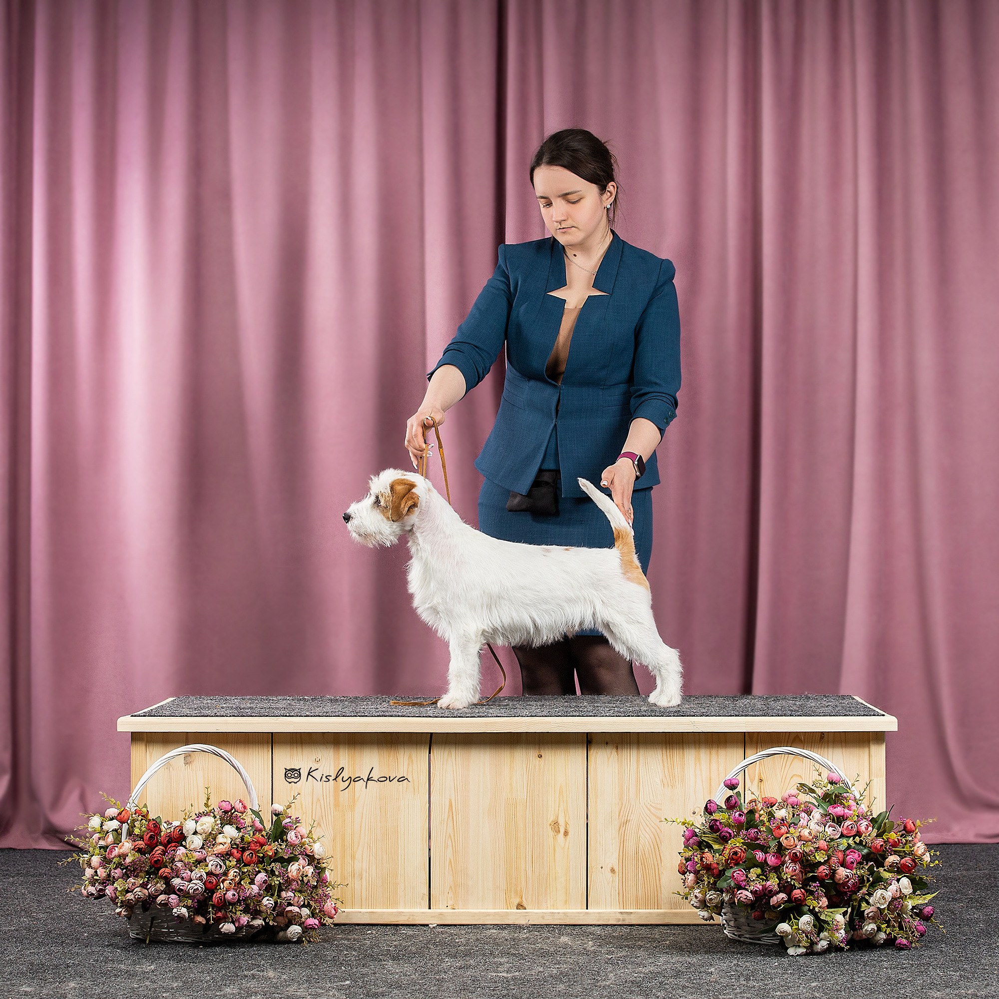 Выставочный репортаж. Фотограф. Фотограф-анималист. Москва