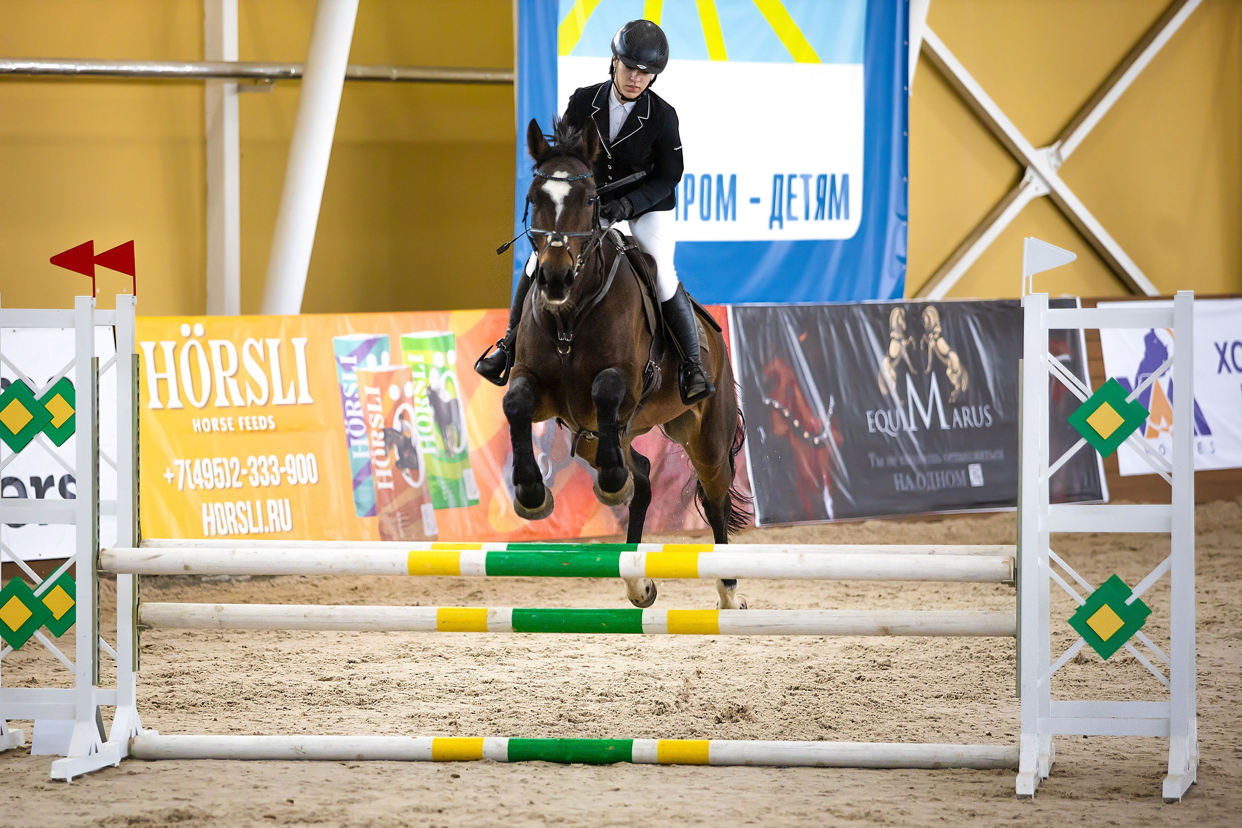 Соревнования. Конкур. Фотограф. Фотограф-анималист. Москва