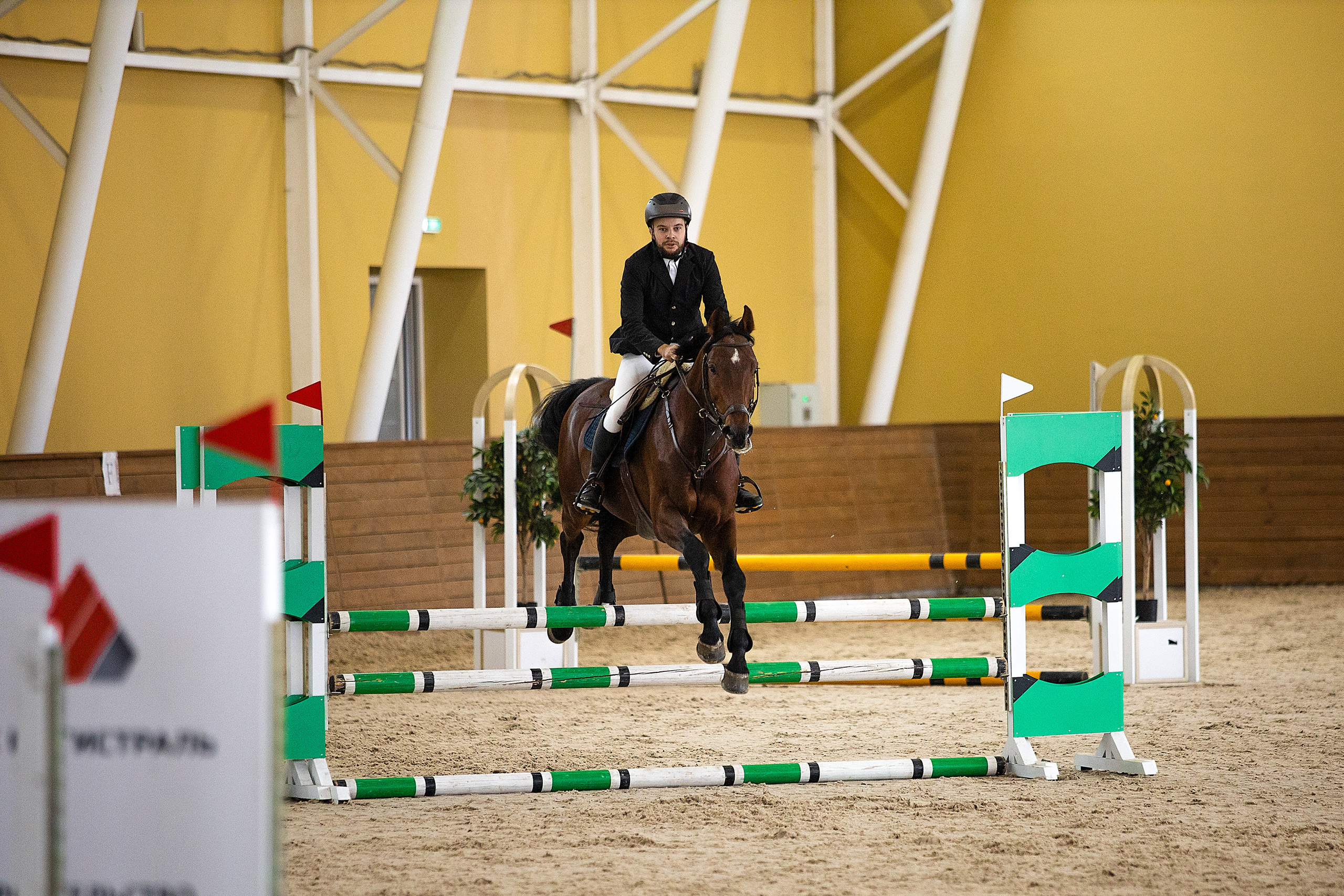 Соревнования. Конкур. Фотограф. Фотограф-анималист. Москва