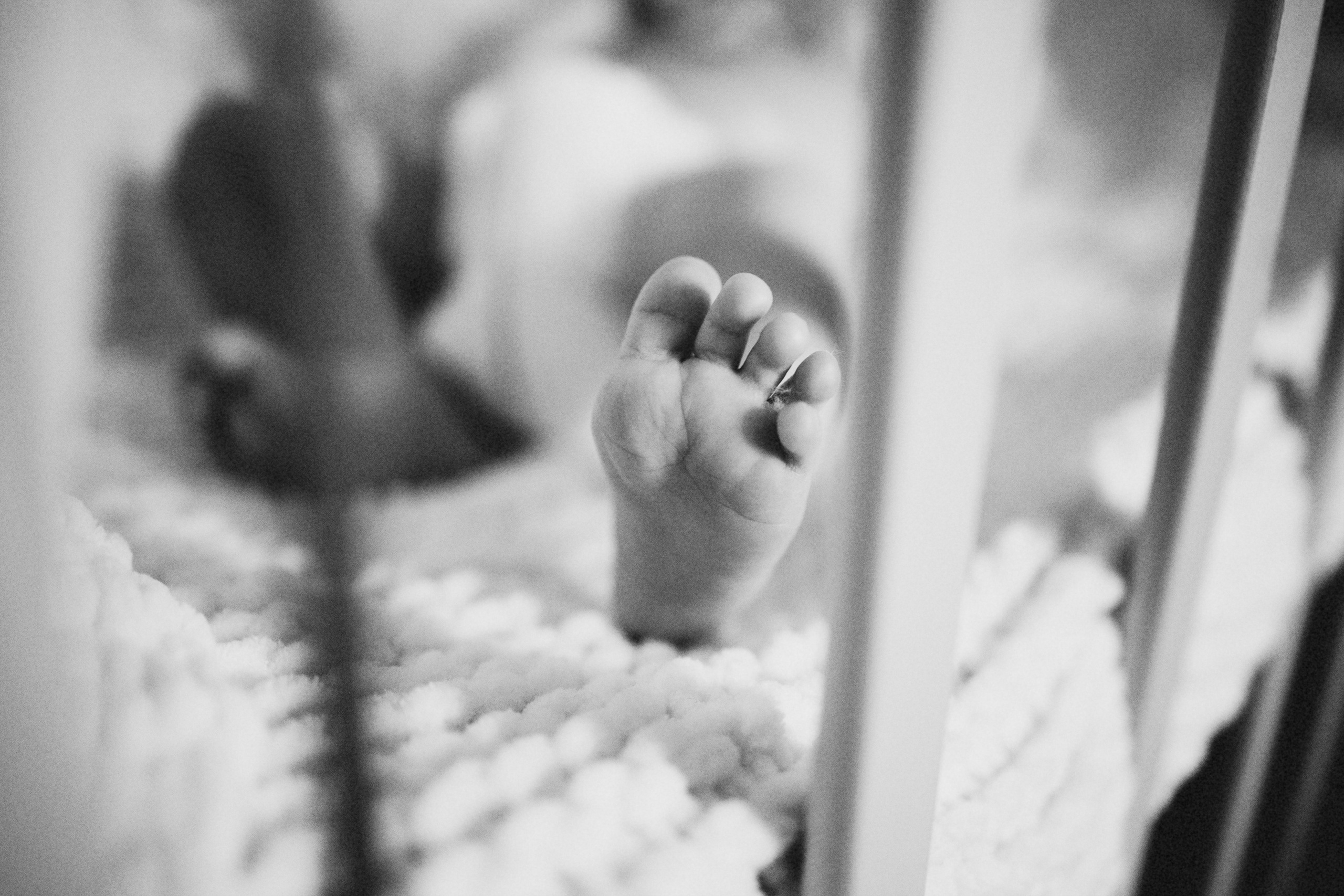 Екатерина и малыш Миша. Фотограф. Фотограф-анималист. Москва