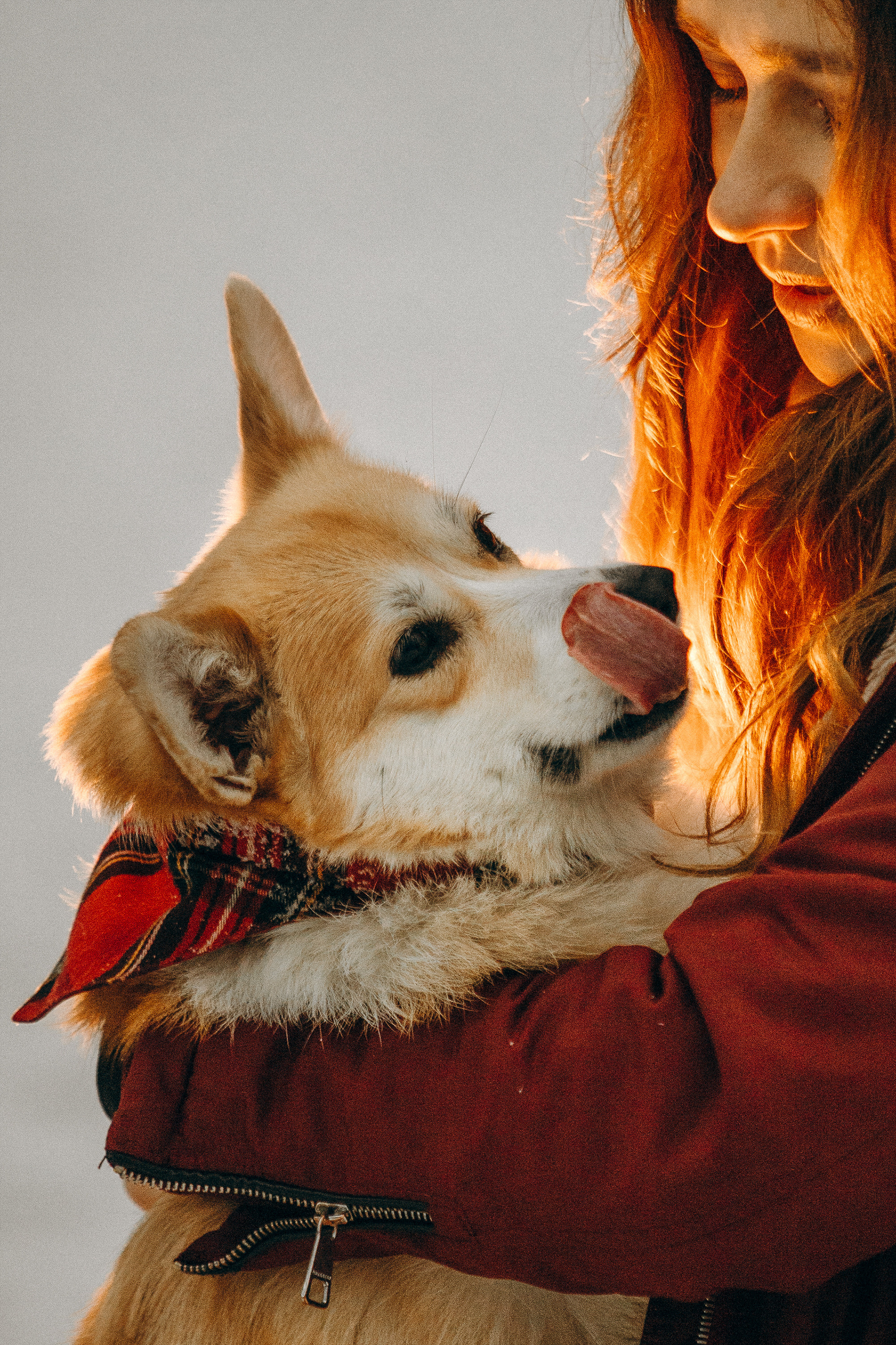 Фотограф. Фотограф-анималист. Москва