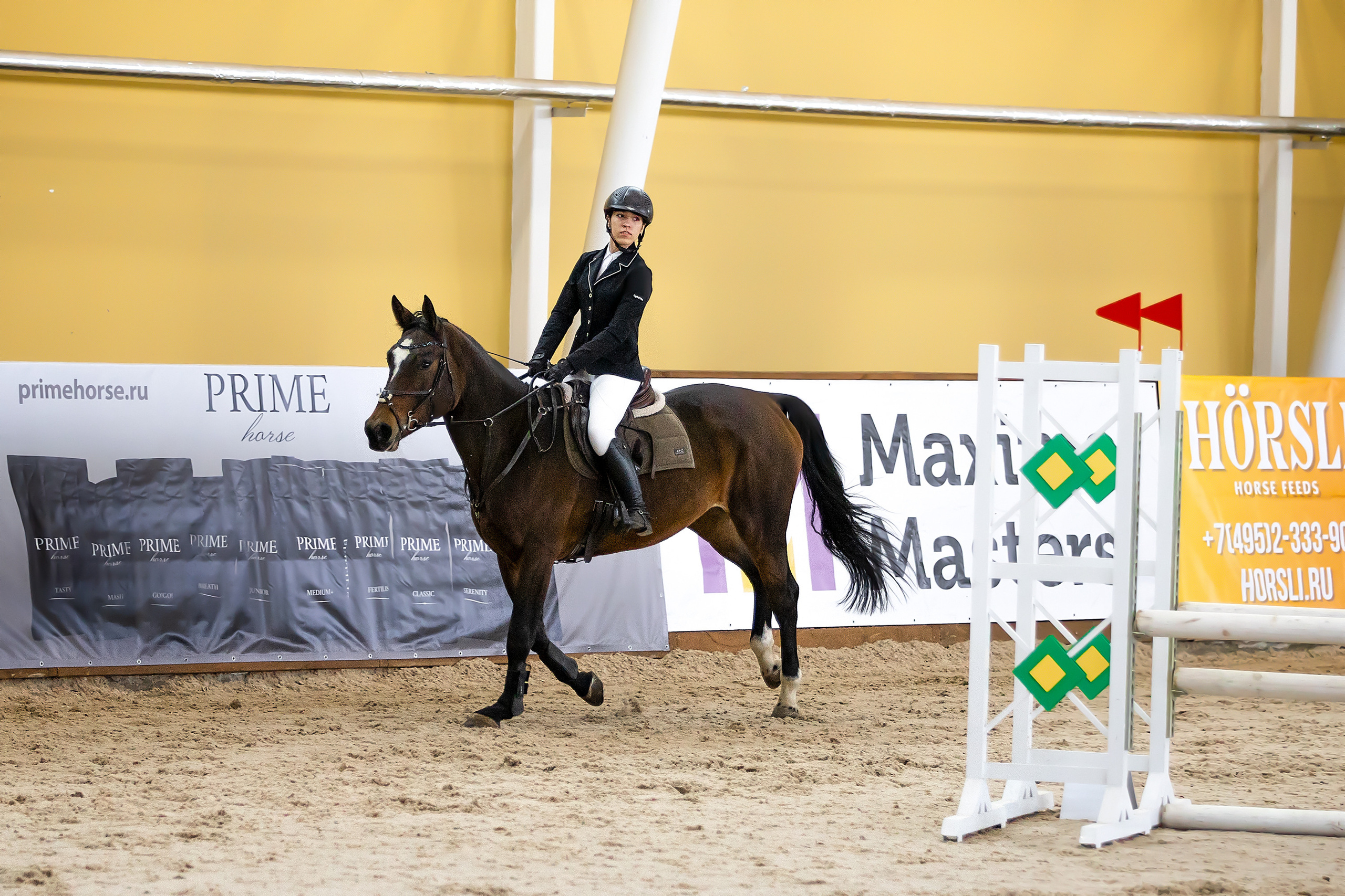 Соревнования. Конкур. Фотограф. Фотограф-анималист. Москва