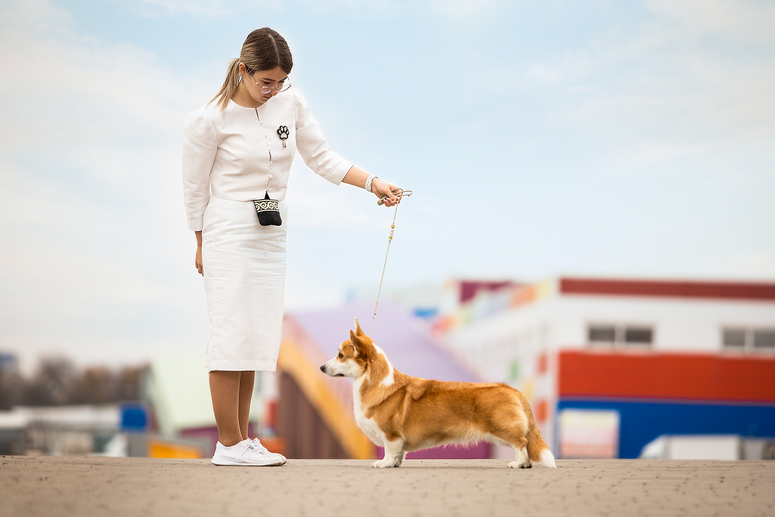Экстерьерные фотосессии. Фотограф. Фотограф-анималист. Москва