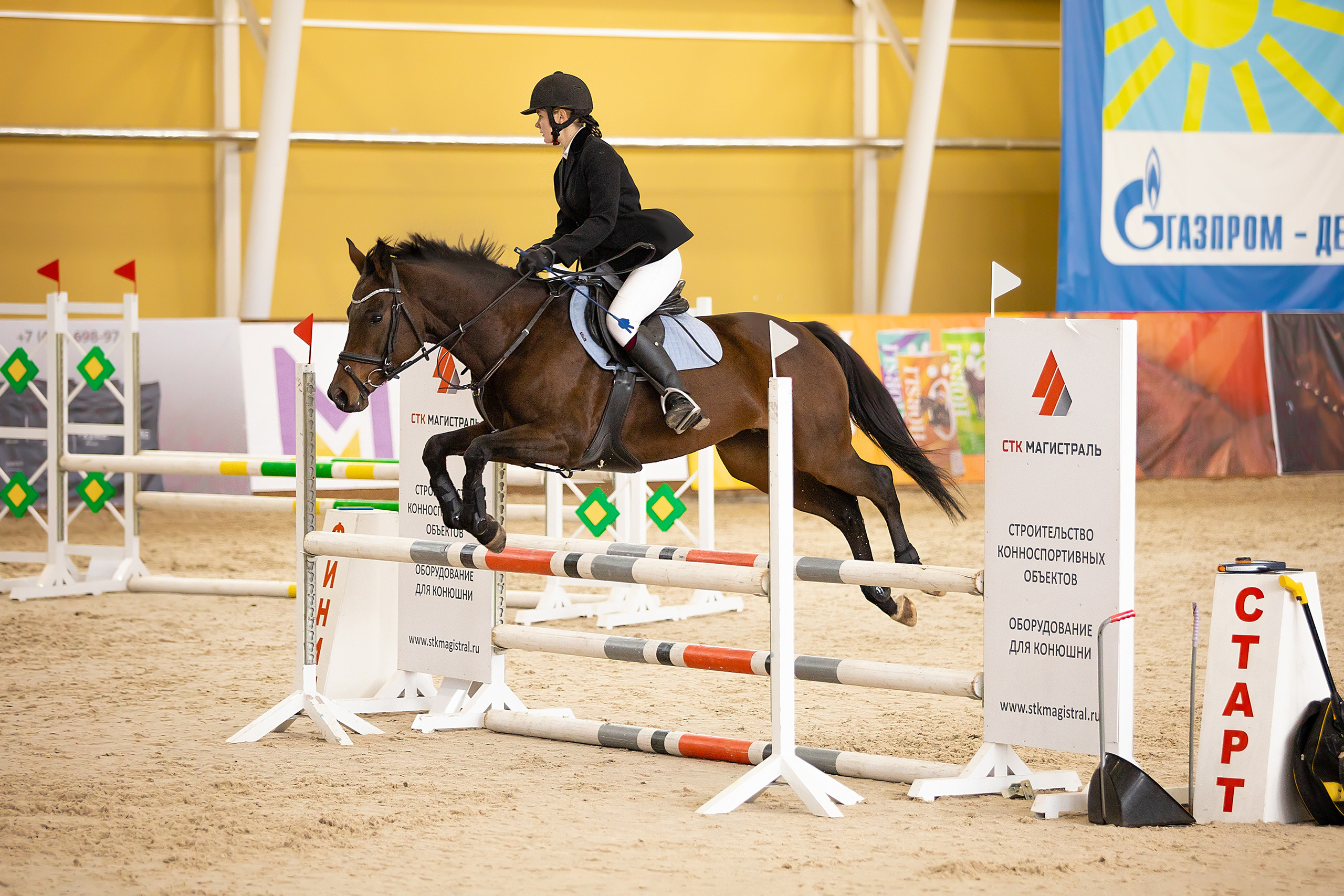 Соревнования. Конкур. Фотограф. Фотограф-анималист. Москва